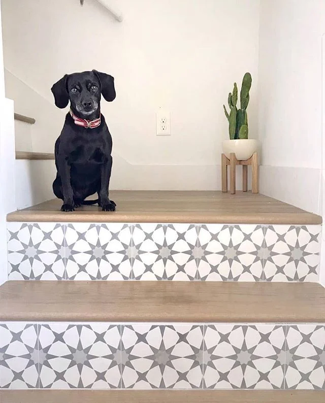 Which #stairriser #stairdesign is your favorite? 🤩😍 I love them all so I'm thinking I need a taller house! 😂
.
.
.
.
#stairs #staircase #interiors #interiorstyling #interiordesign #patternedtiles #handmadetiles #moroccantile #backsplash #homesweet