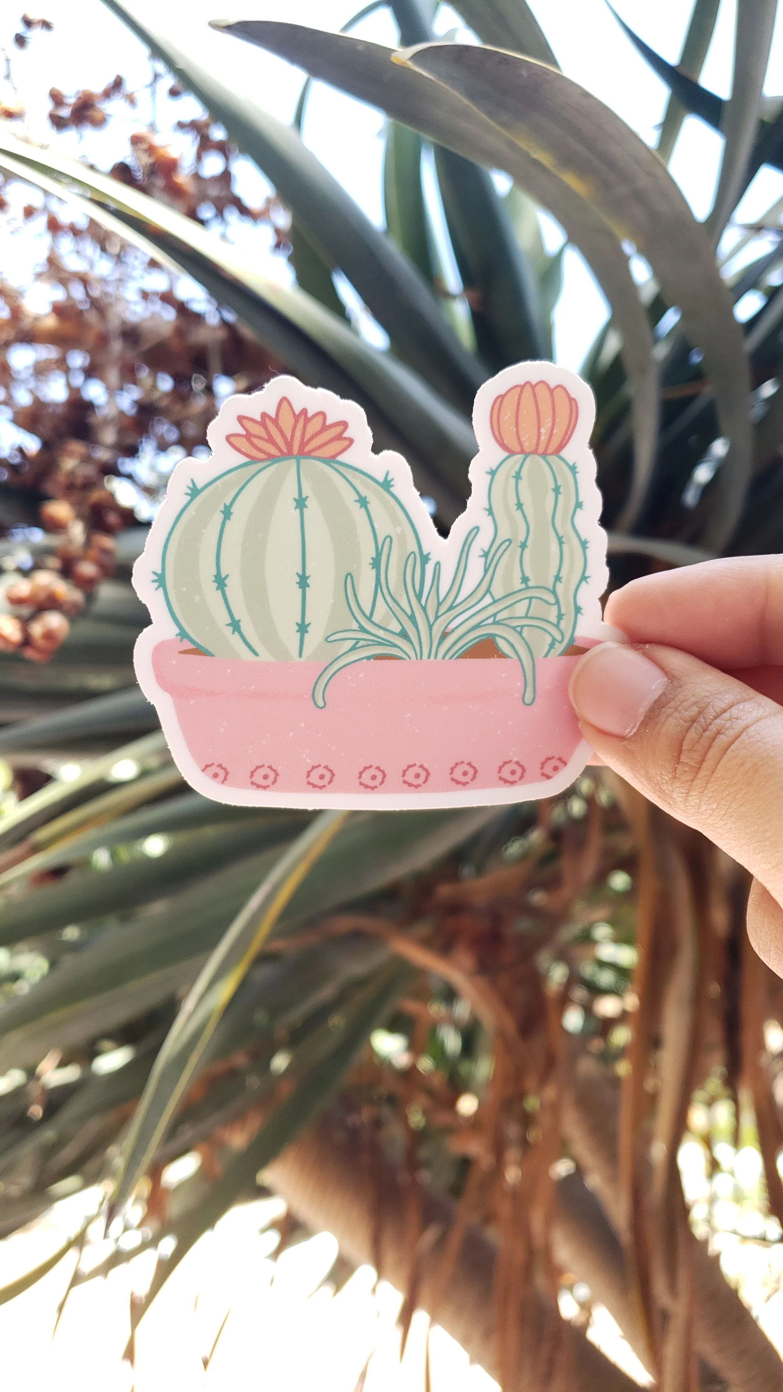 Succulent Trio in Planter Die Cut Vinyl Stickers