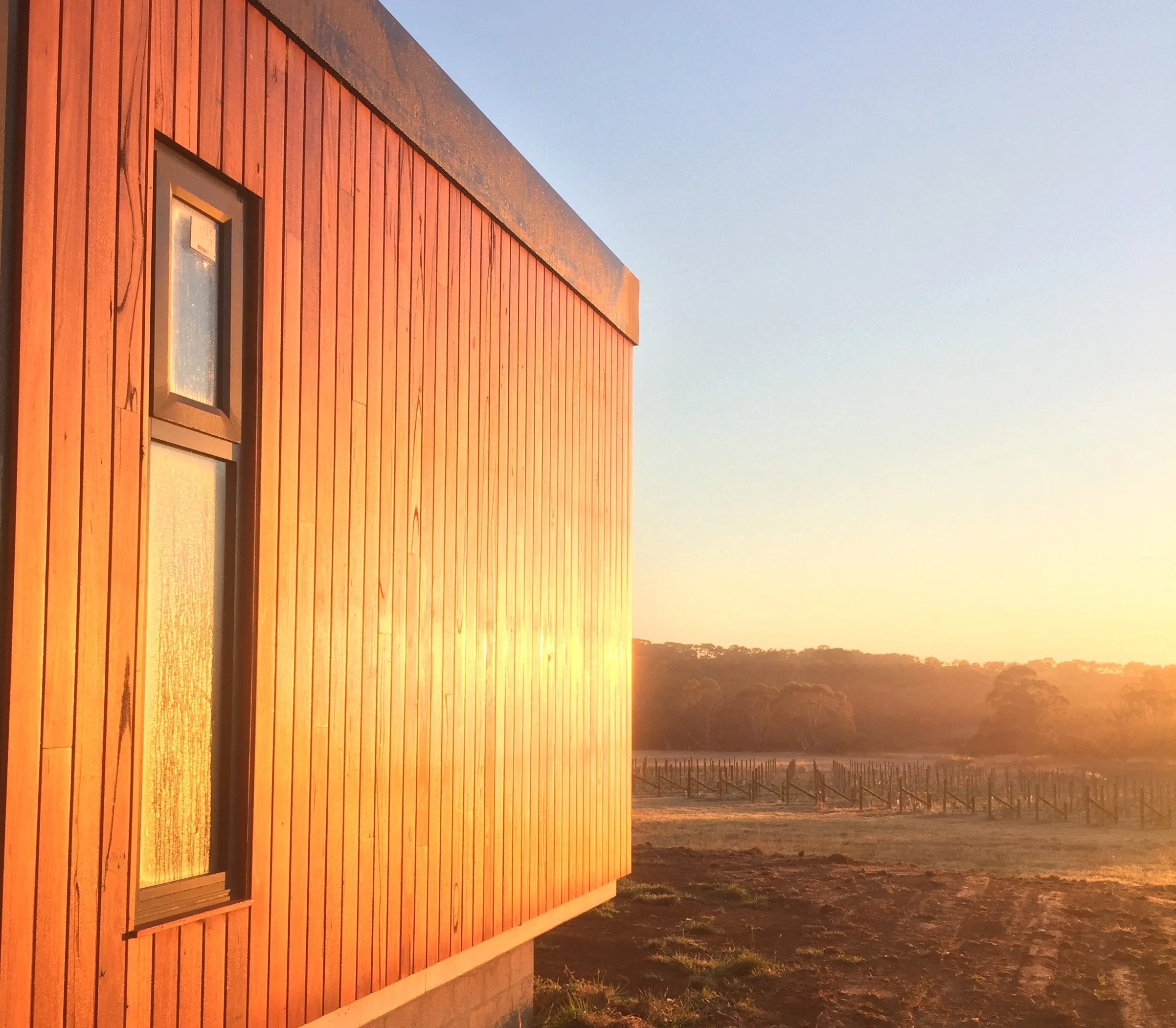 Vertical timber-clad building exterior glowing in warm late-afternoon sunlight.