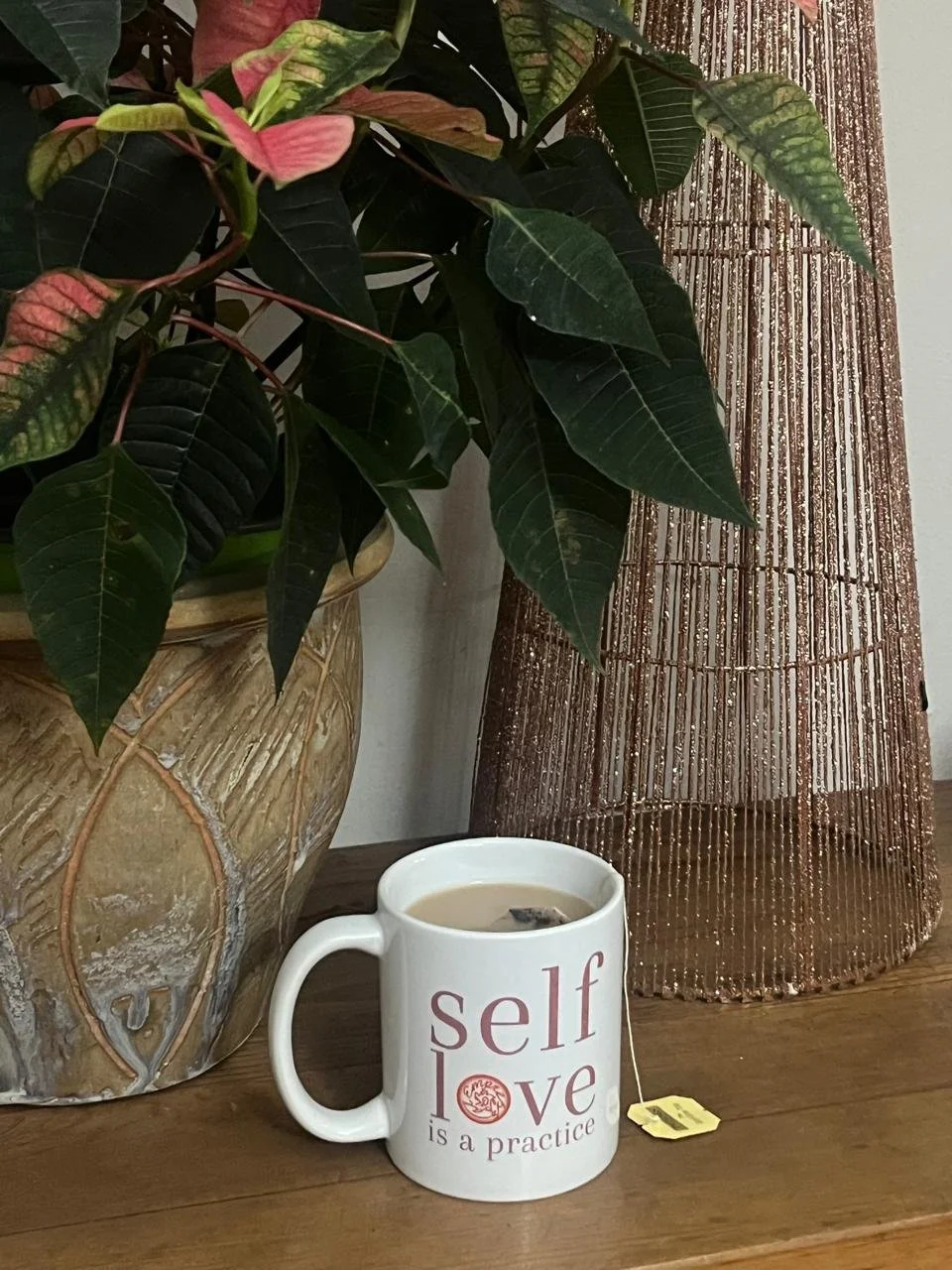 WhatsApp Image 2025-12-09 at 08.33.50_5073cda8.jpg