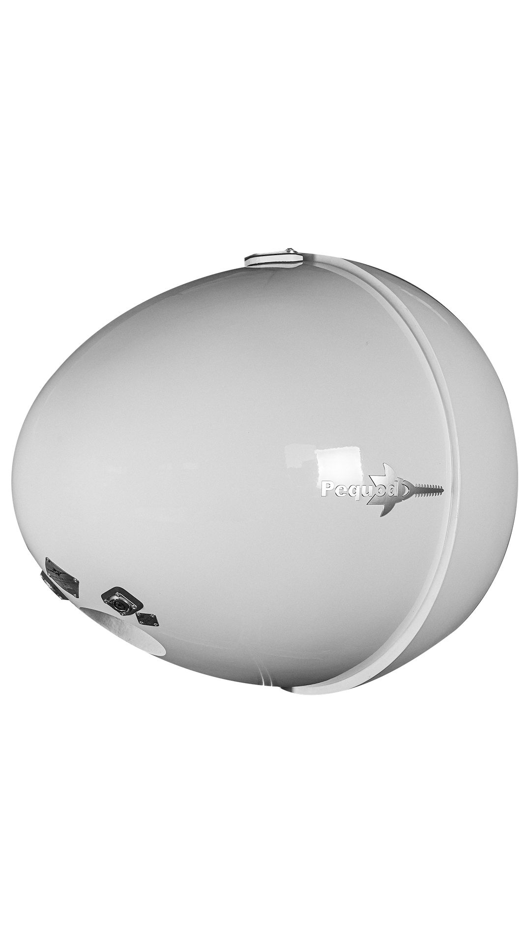Pequod_acoustics_ovoid_rear.png