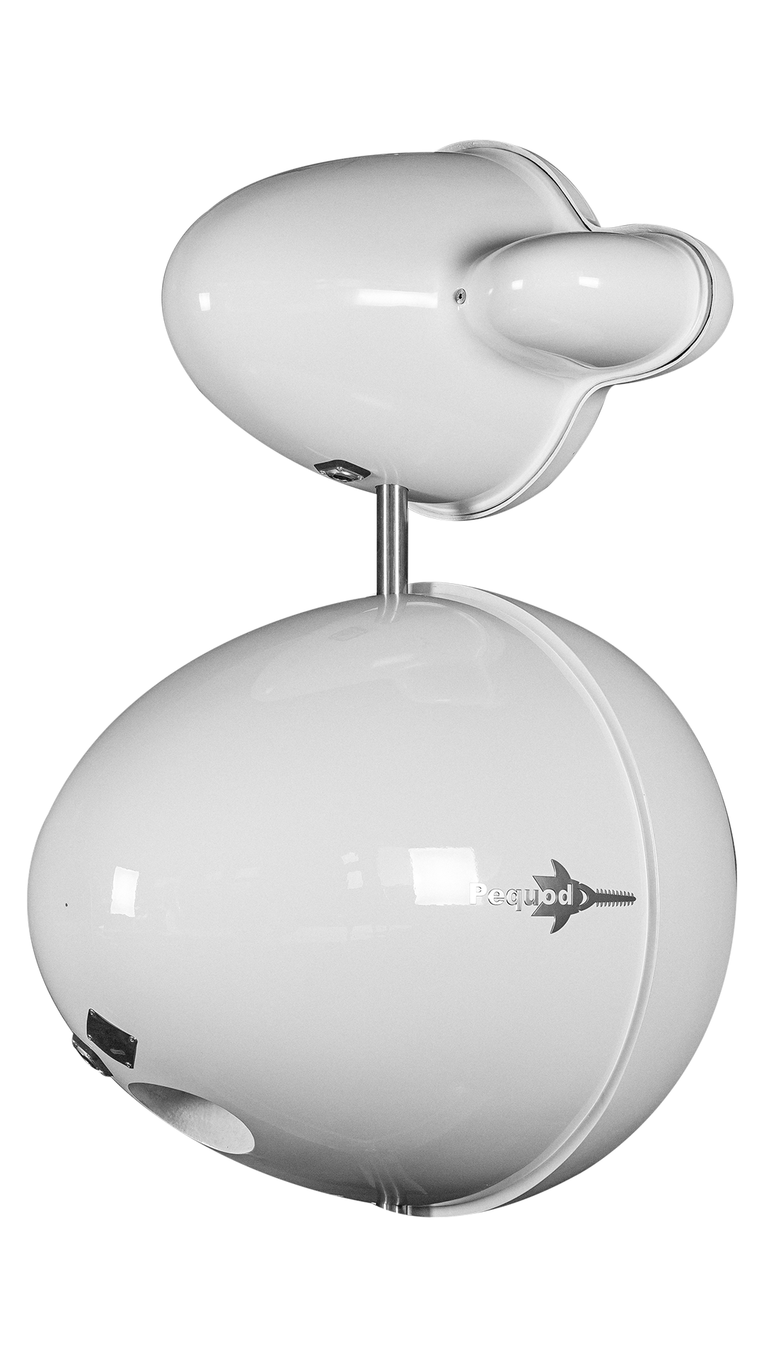 Pequod_acoustics_scirone_rear.png