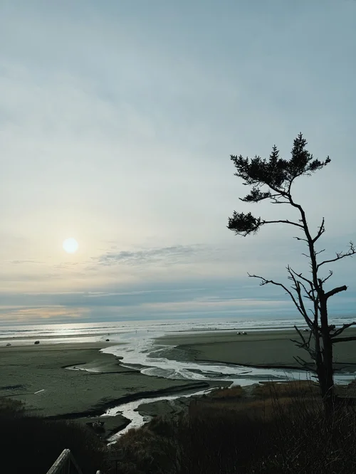 72 Hours in Seabrook, Washington (Winter 2024) — Kathryn Coffman