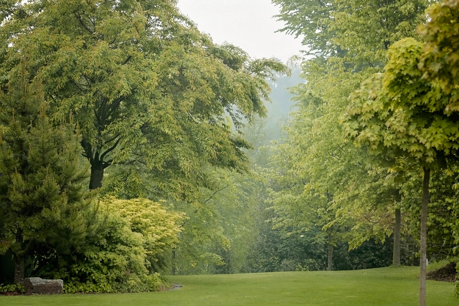 Garten_Ratingen.jpg