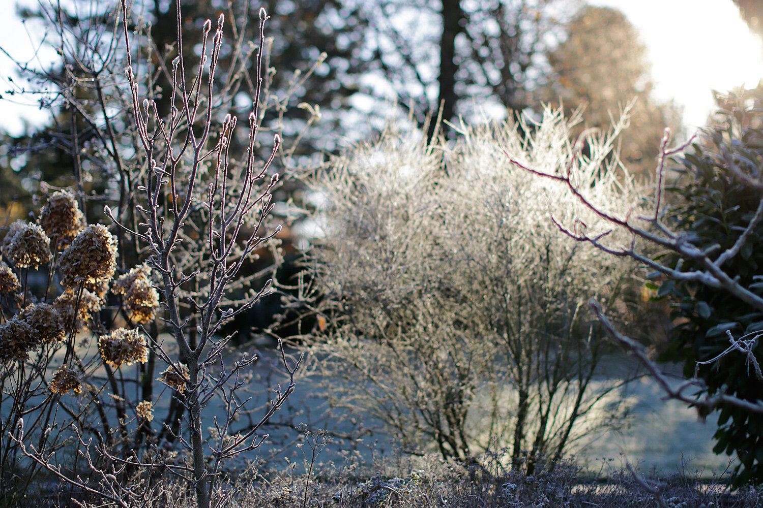 Ratingen_Winter.jpg