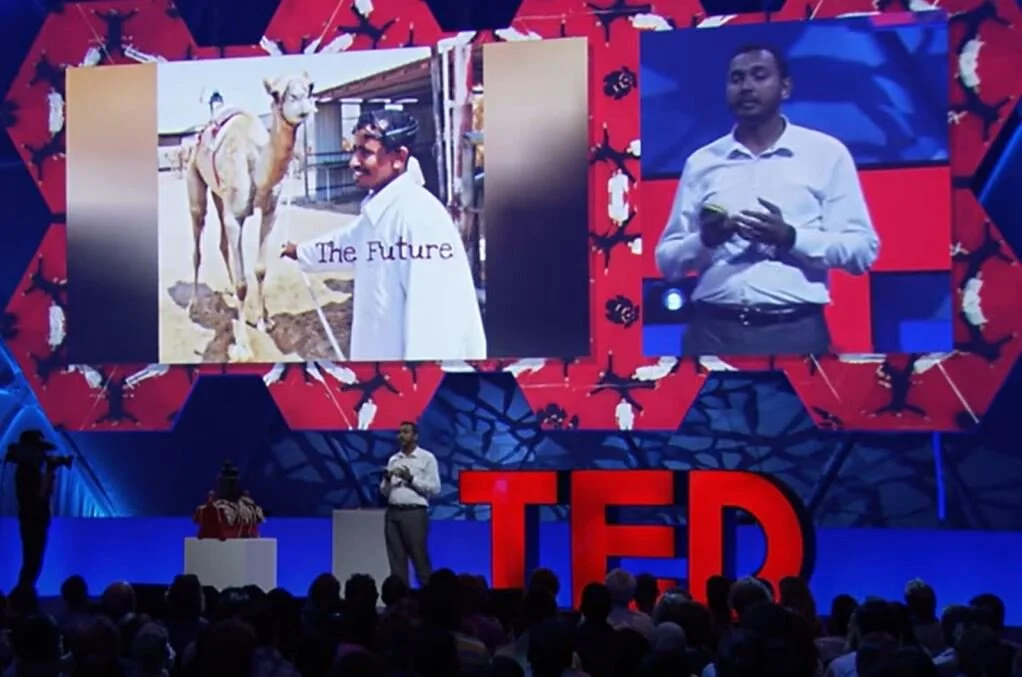 Introducing Mohamed Shakir - Senior Data Scientist at White Box