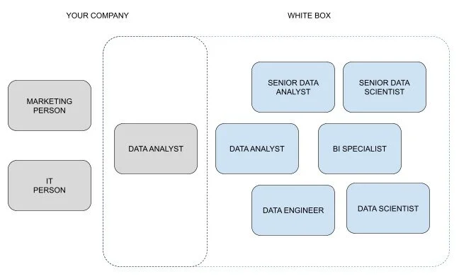 Why you should consider an analytics support model ASAP