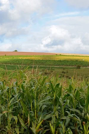 The Ultimate guide to Gamecover