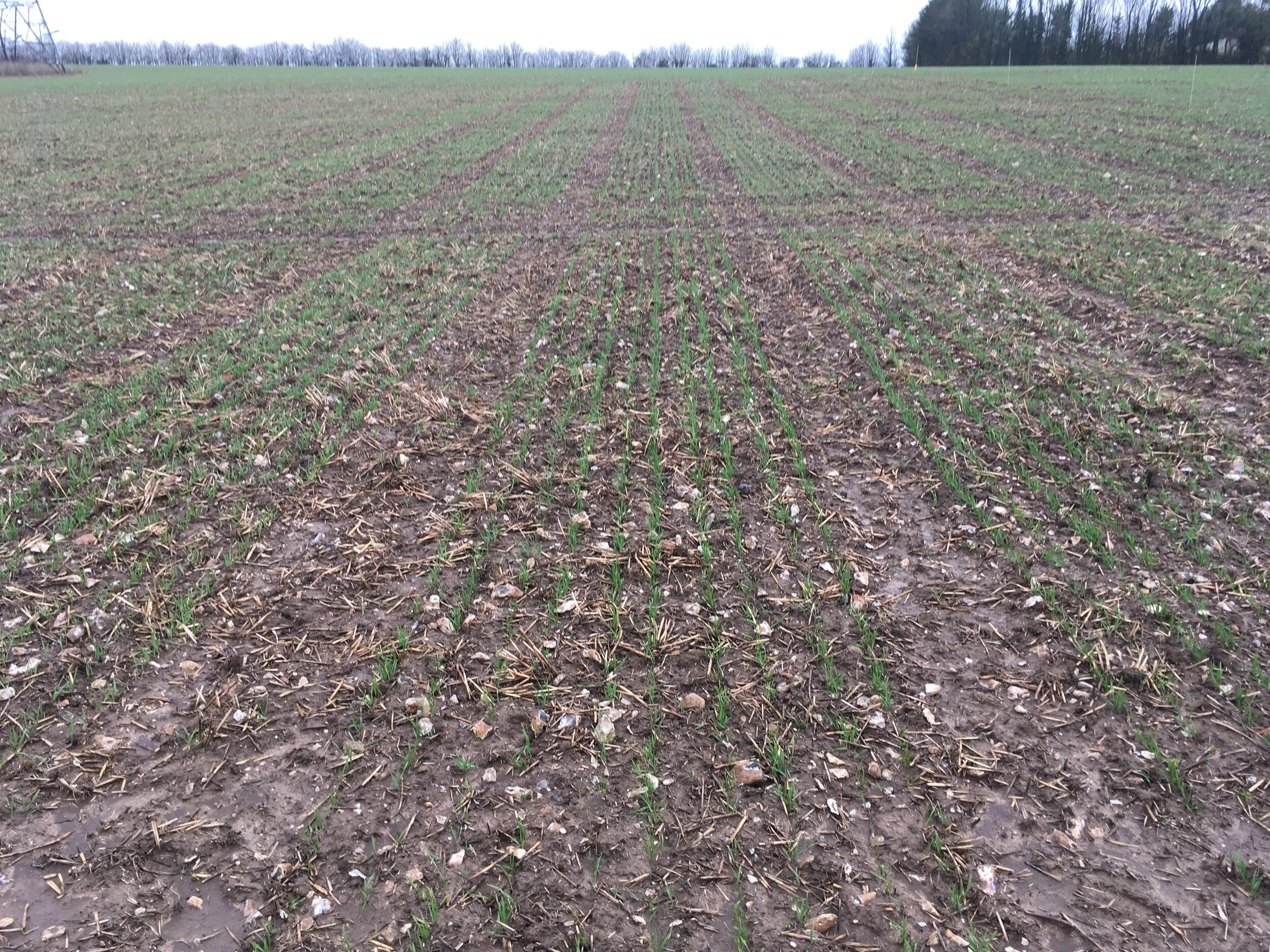 Managing a backward crop