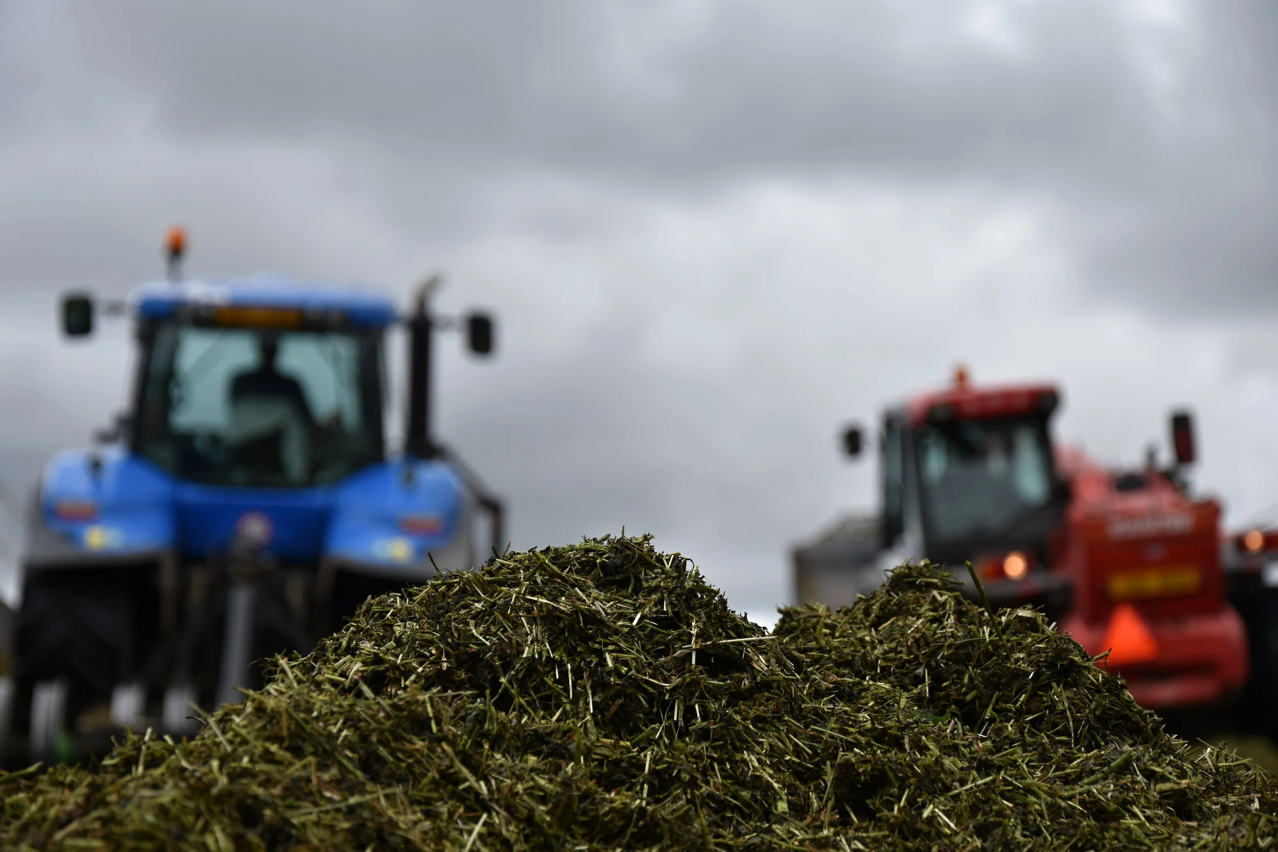 Silage additives this spring