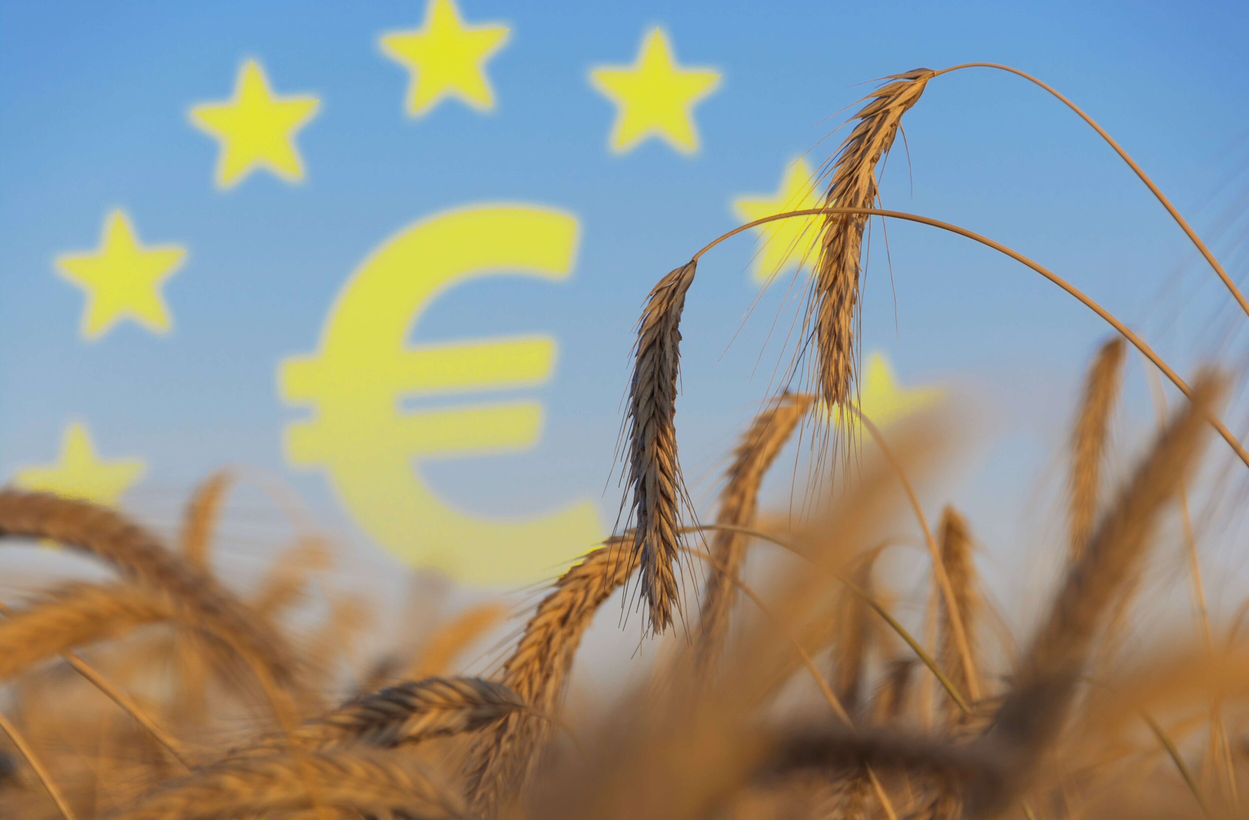 Monday Market Briefing - 7th December 2020