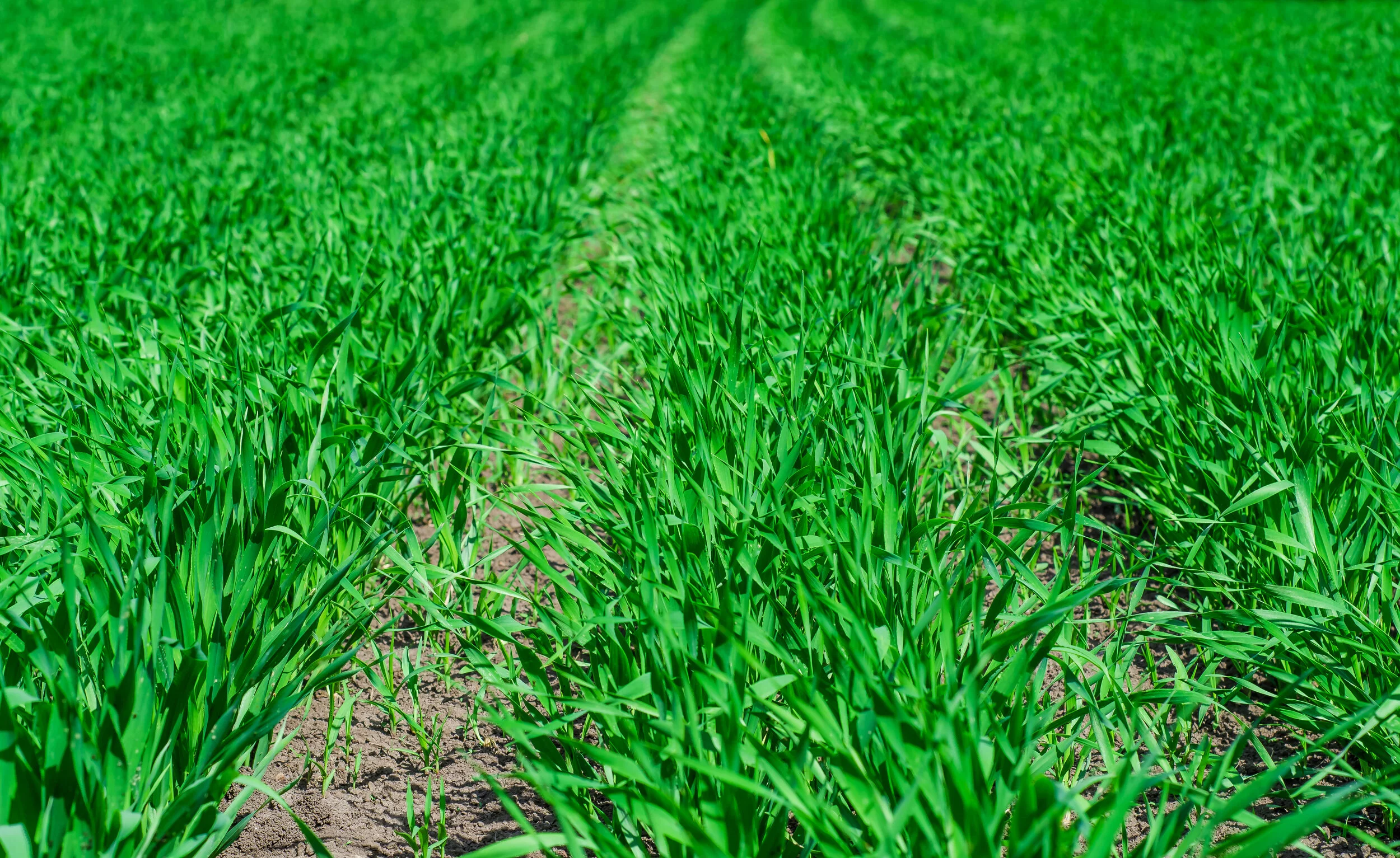 Planning T0 for 2021