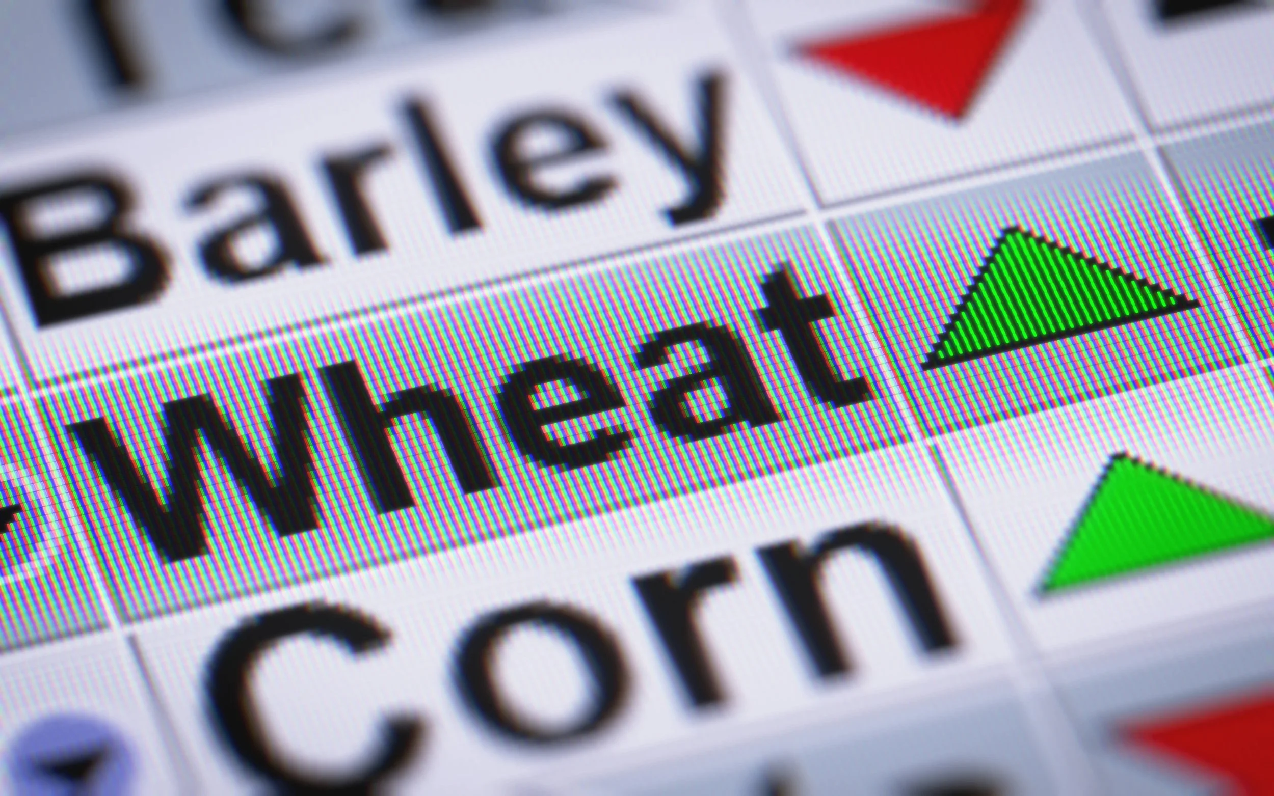 Monday Market Briefing - 29th November 2021