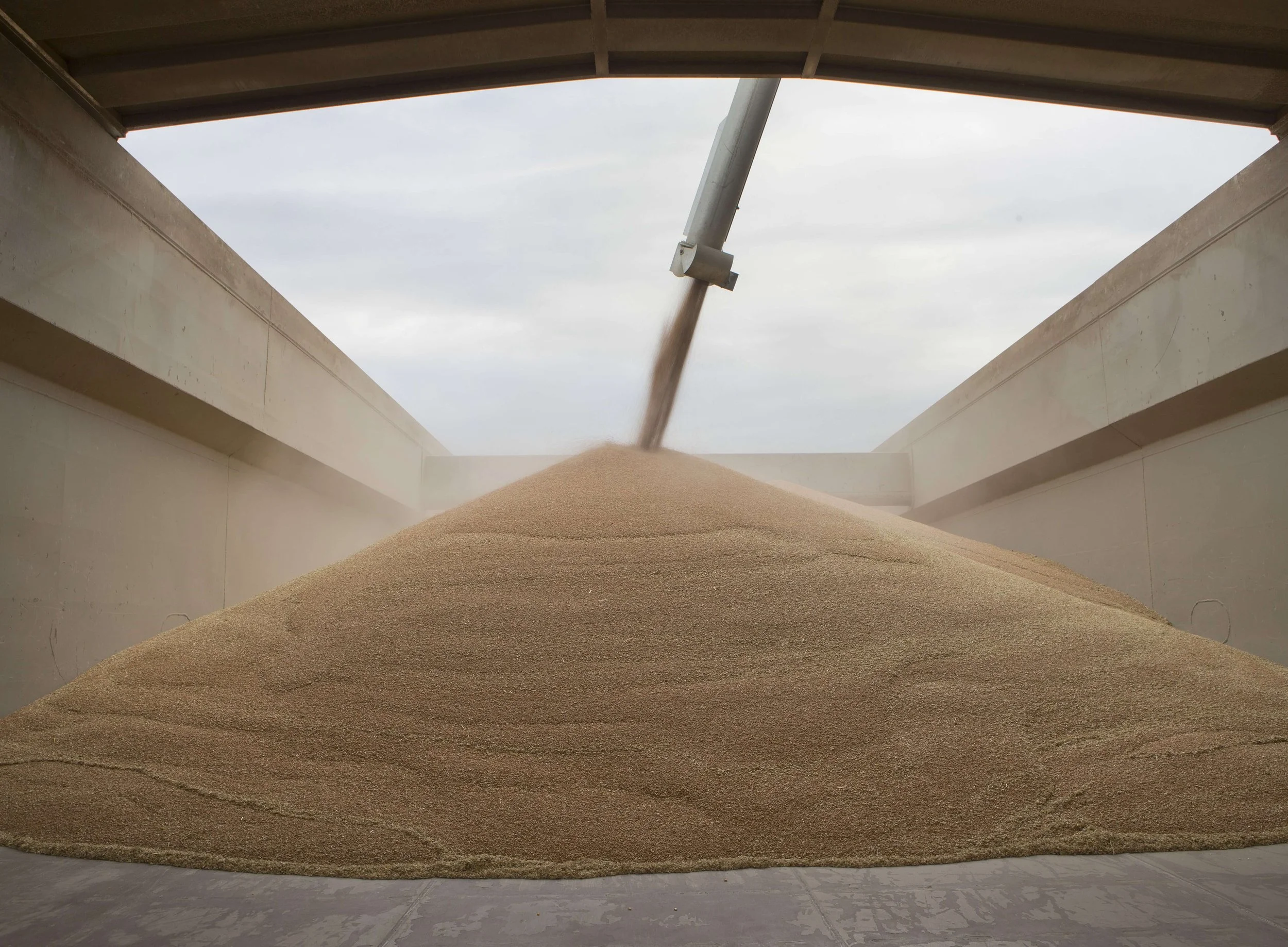 Monday Market Briefing - 17th January 2022