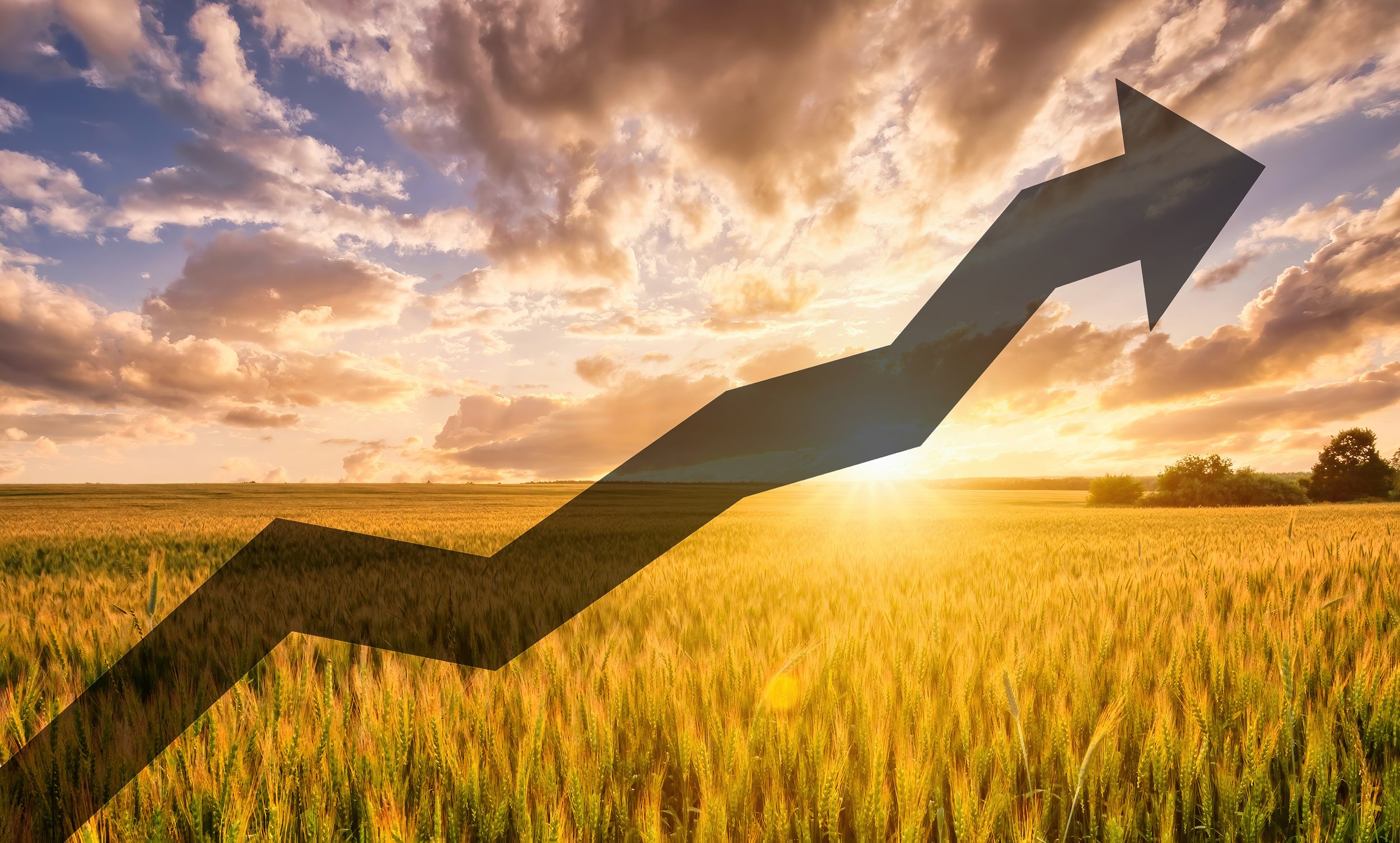 Monday Market Briefing - 16th January 2023