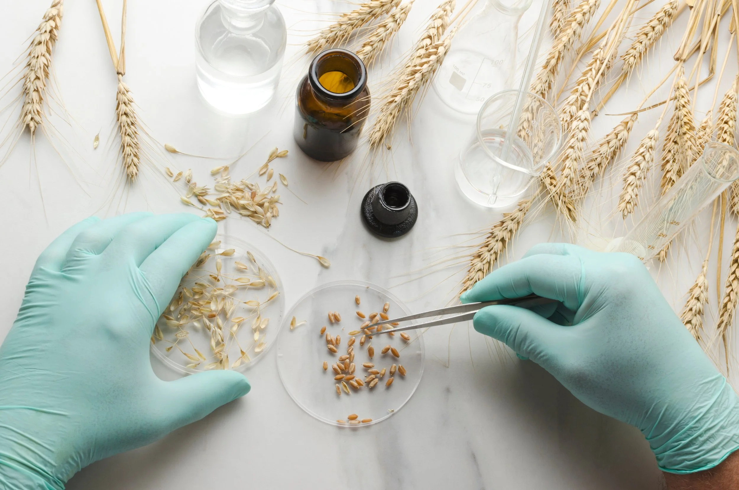 Monday Market Briefing - 25th September 2023