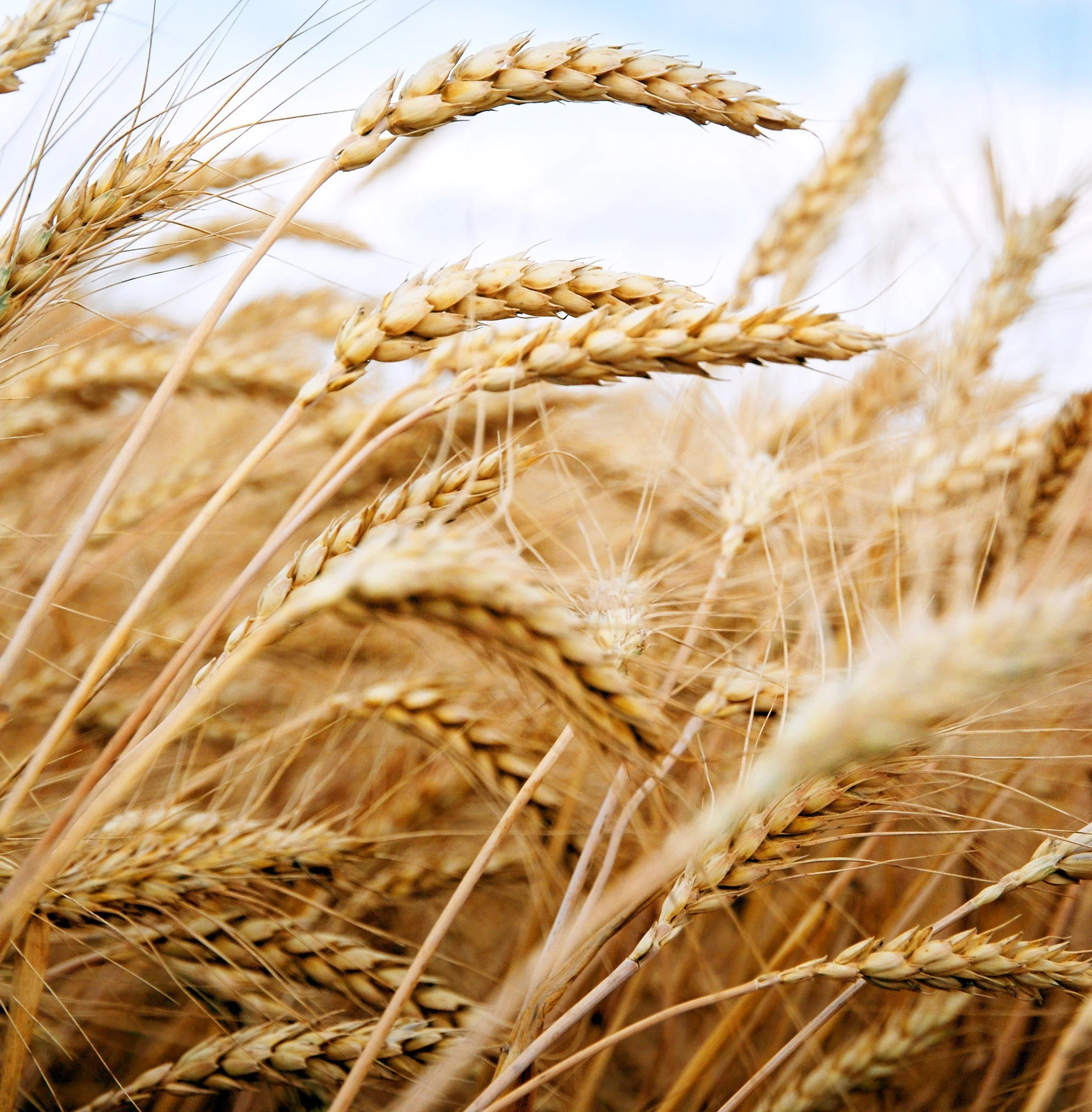 Monday Market Briefing - 2nd September 2024