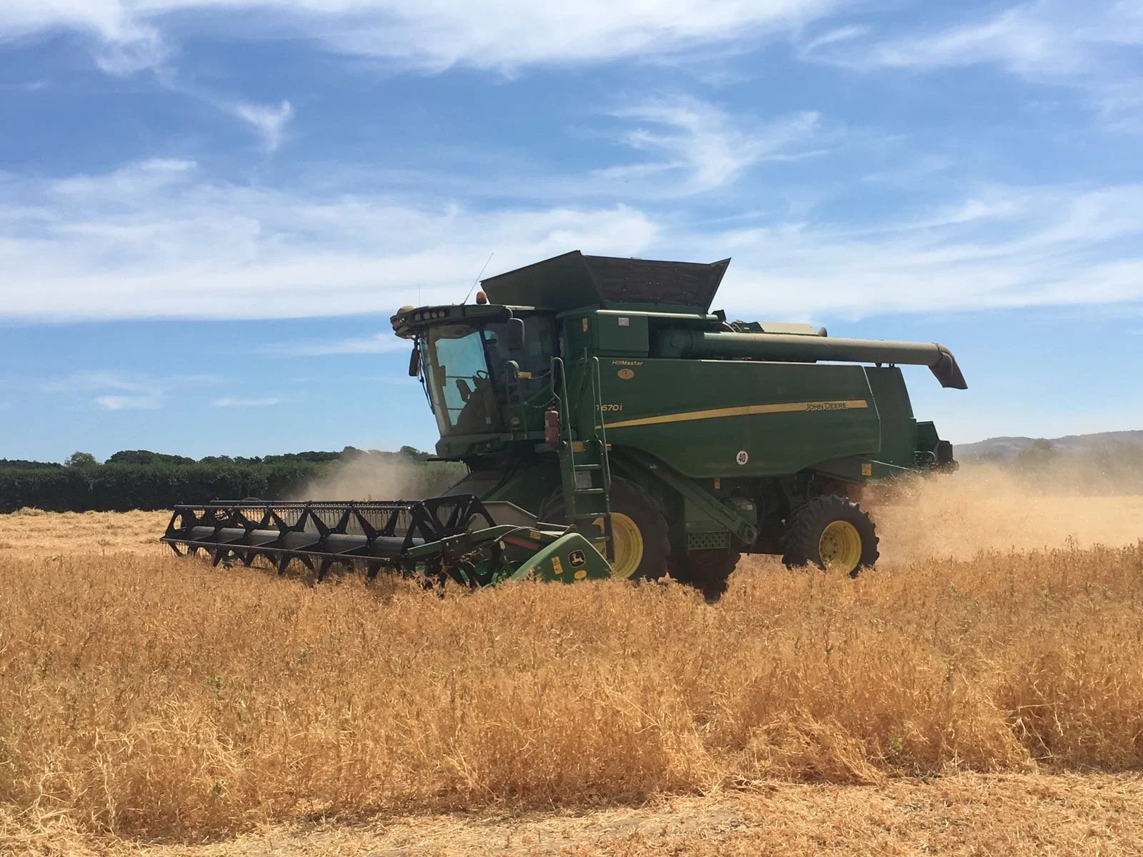 Monday Market Briefing - 11th November 2024