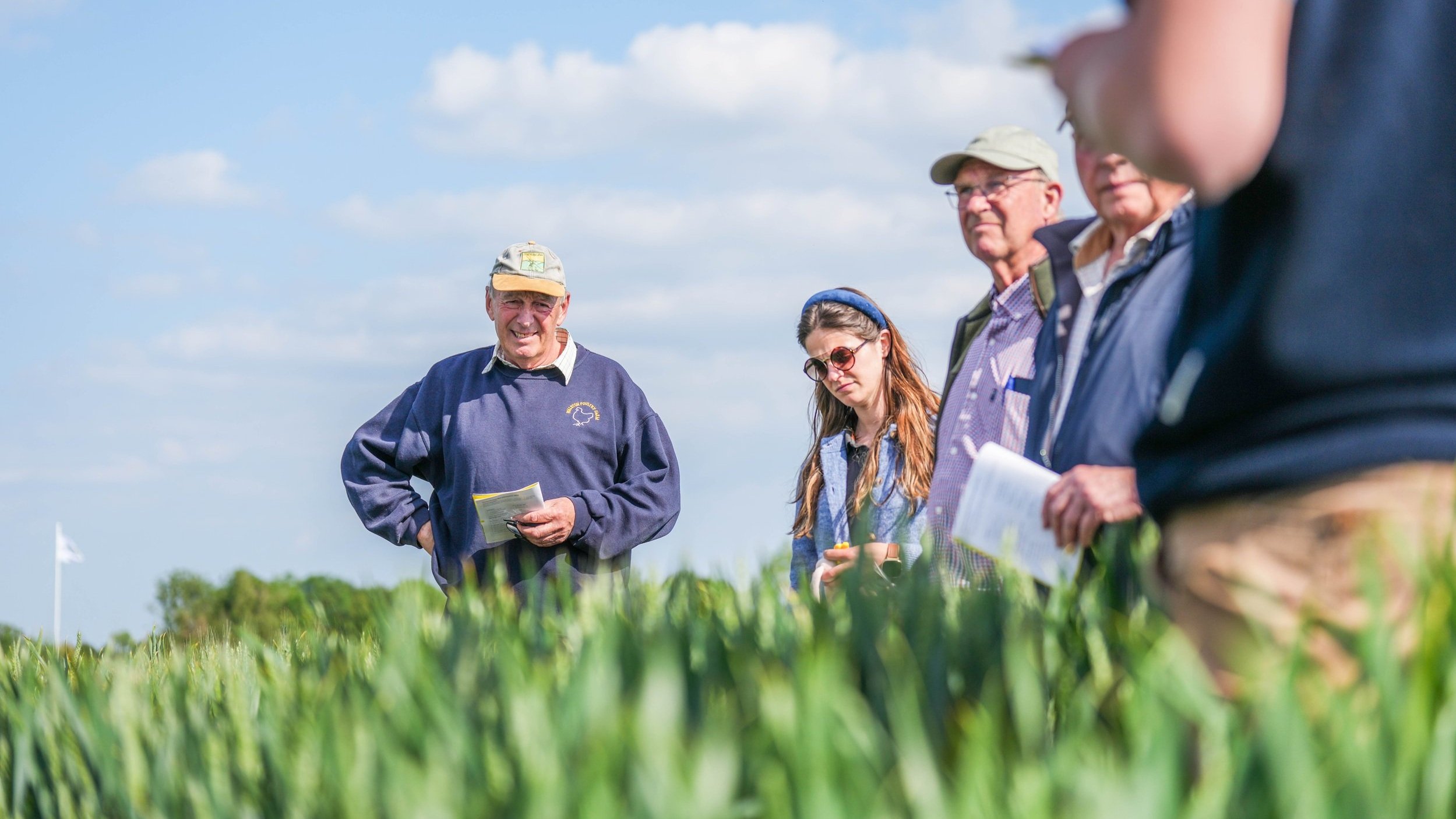 Spring Varieties 2025 — Bartholomews