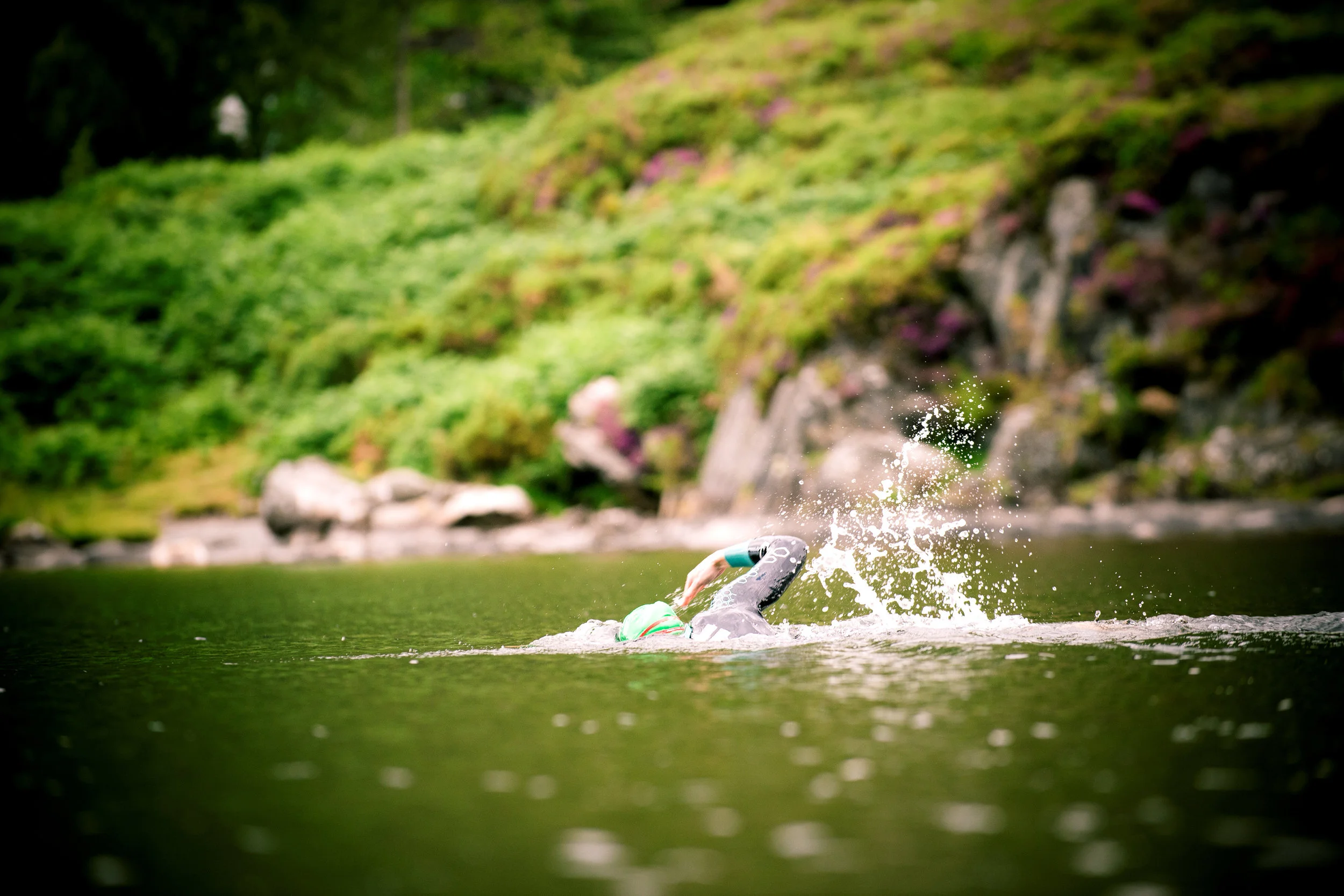 Target PH swim away.jpg