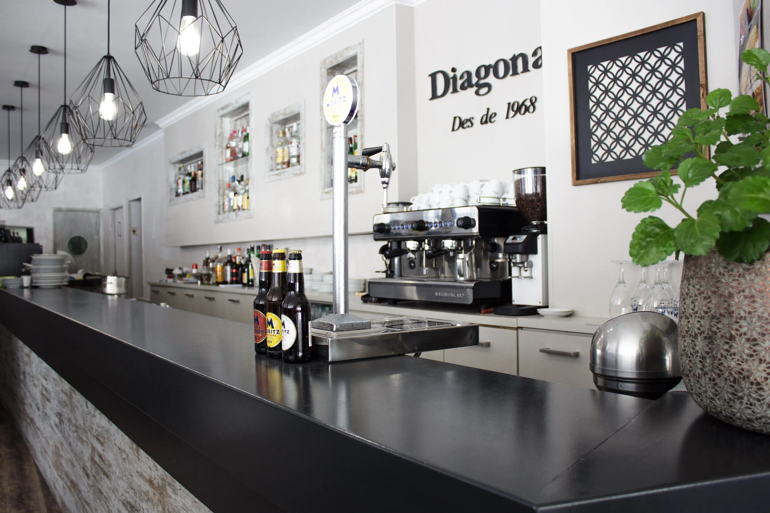 27 de febrero de 2019-13.JPG