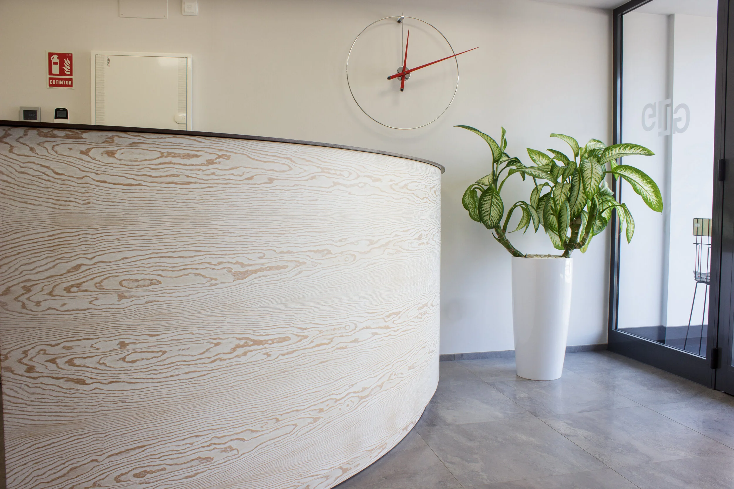 26 de febrero de 2019-48.JPG