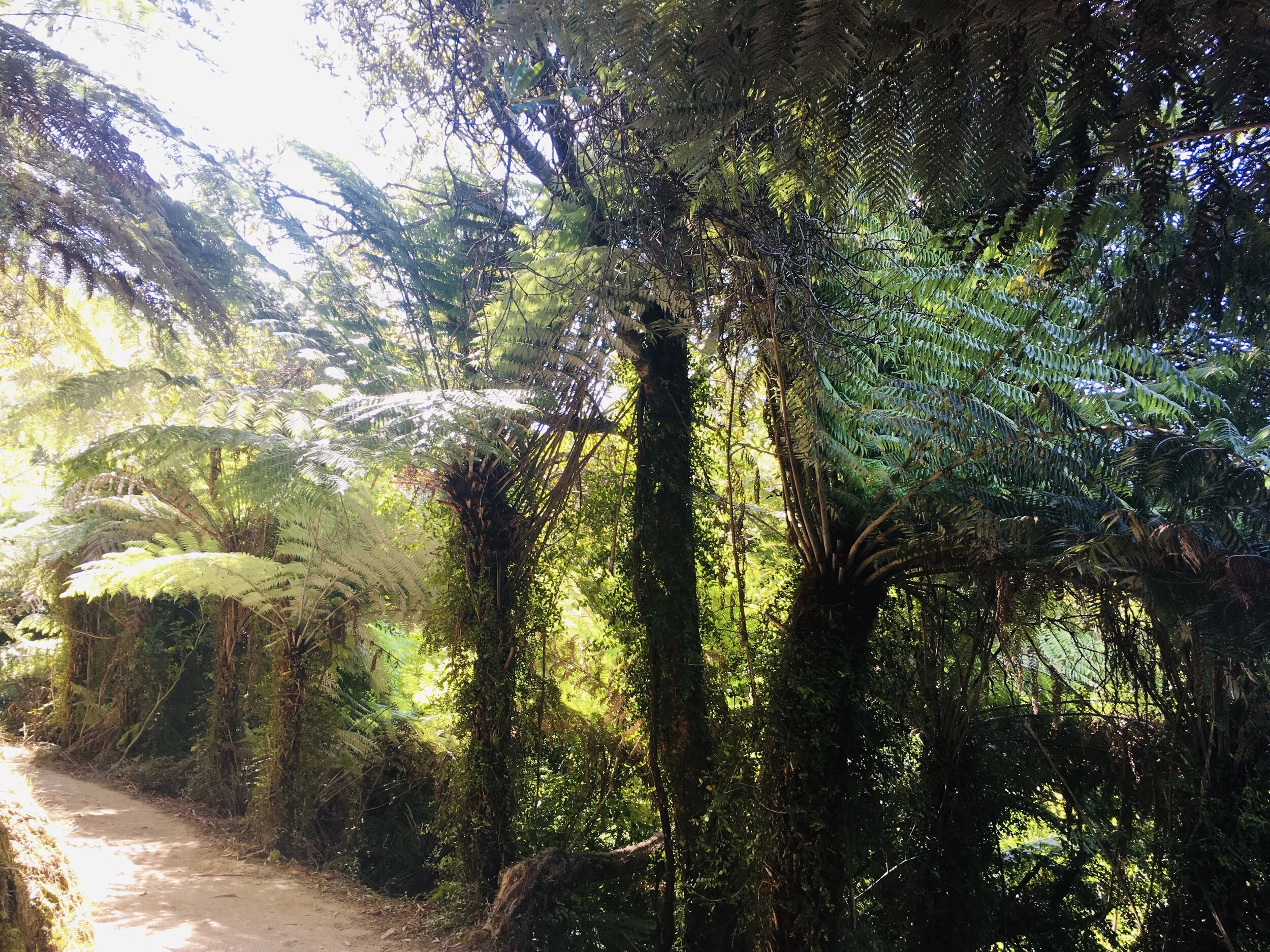 The Art of Contentment