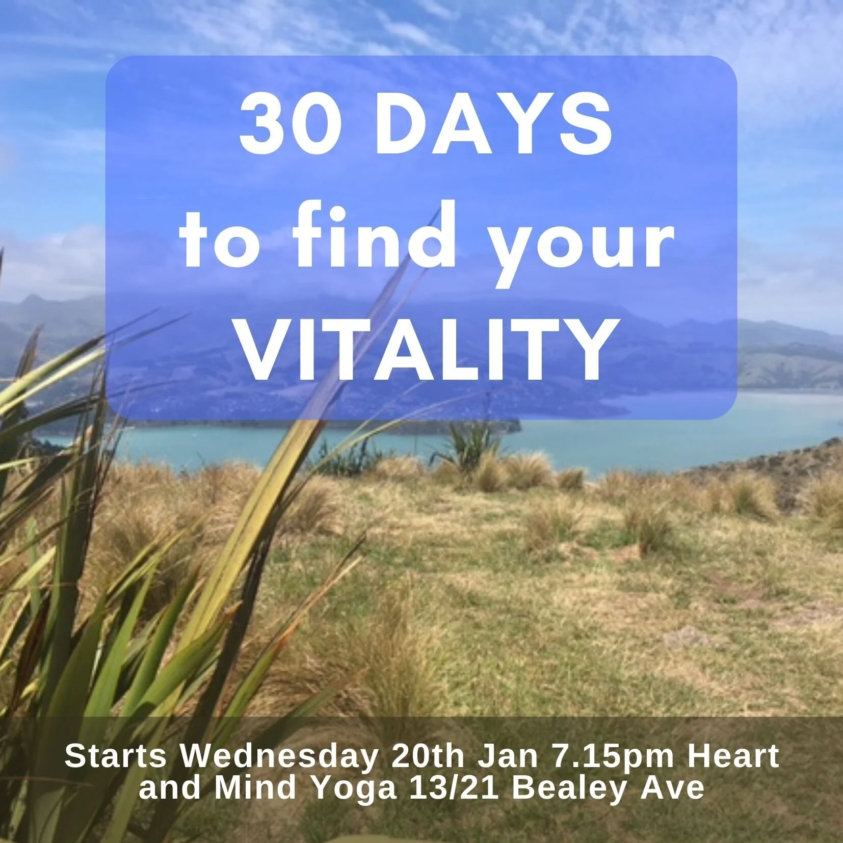 30 Days to find your Vitality