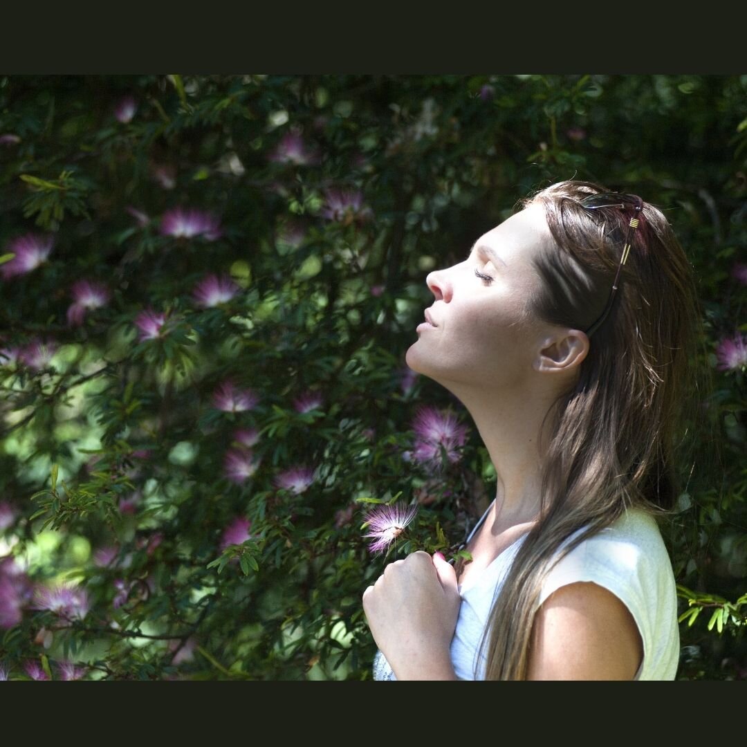 Letting go of resistance to what is