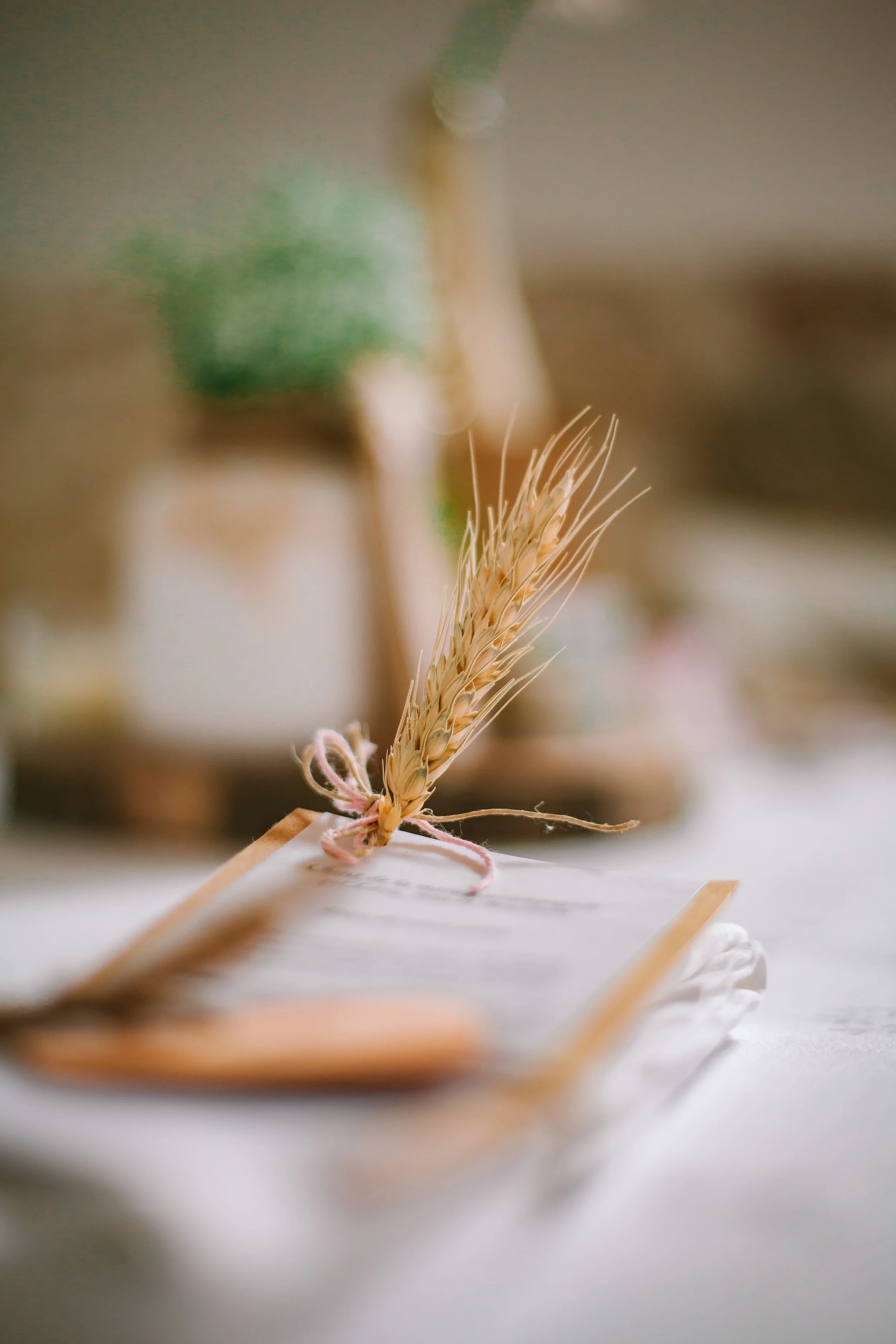 Elisa&Jonathan-9.jpg