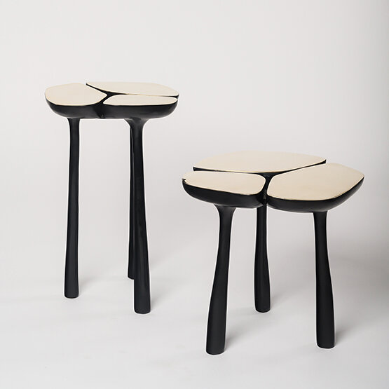 MUSE Design partners with Ward &amp; Co 