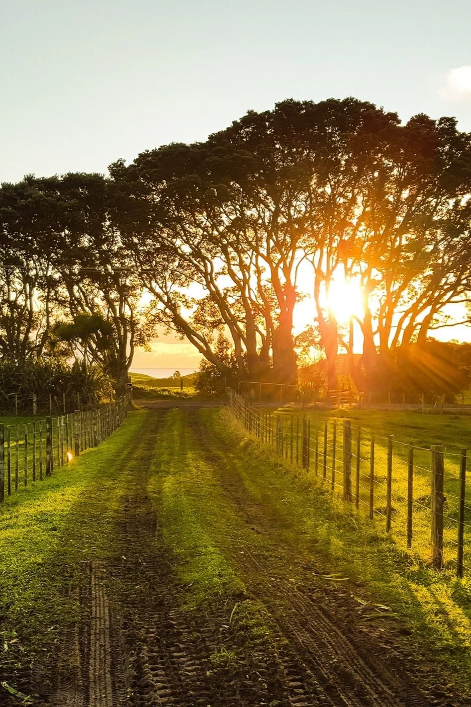 Landed estates and embracing ESG – Farrer &amp; Co&nbsp;