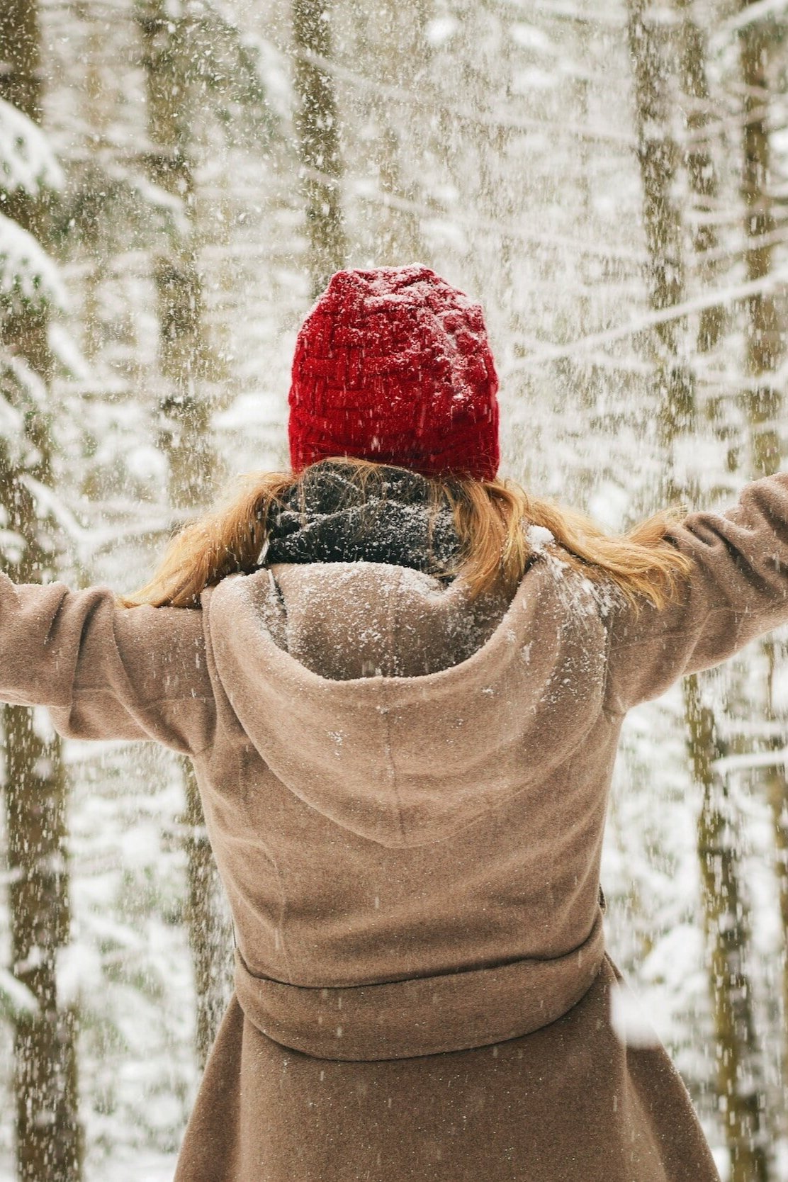Get Ready for 2024: Seven Ways to Reflect and Revive - Oona Collins