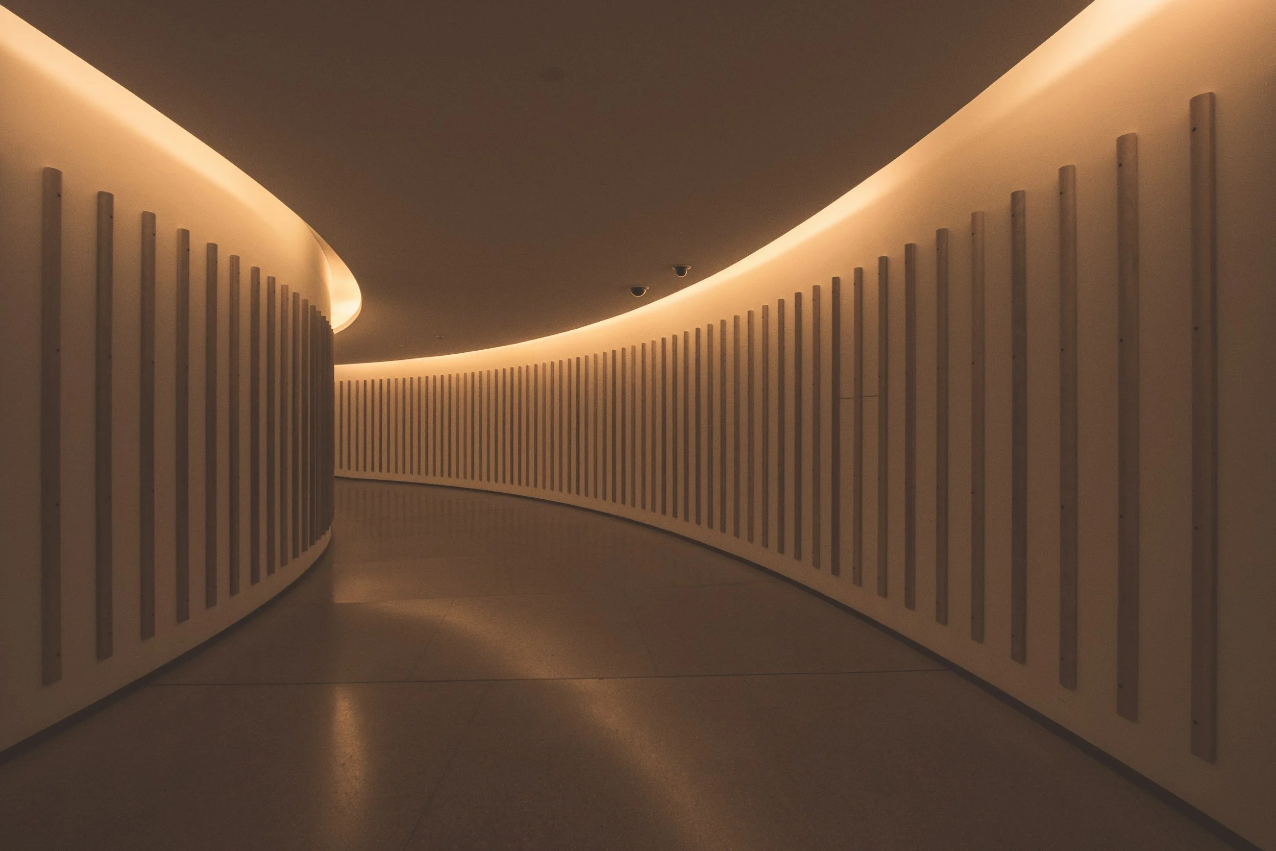 Mastering the Art &amp; Science of Lighting - Xavio Design 