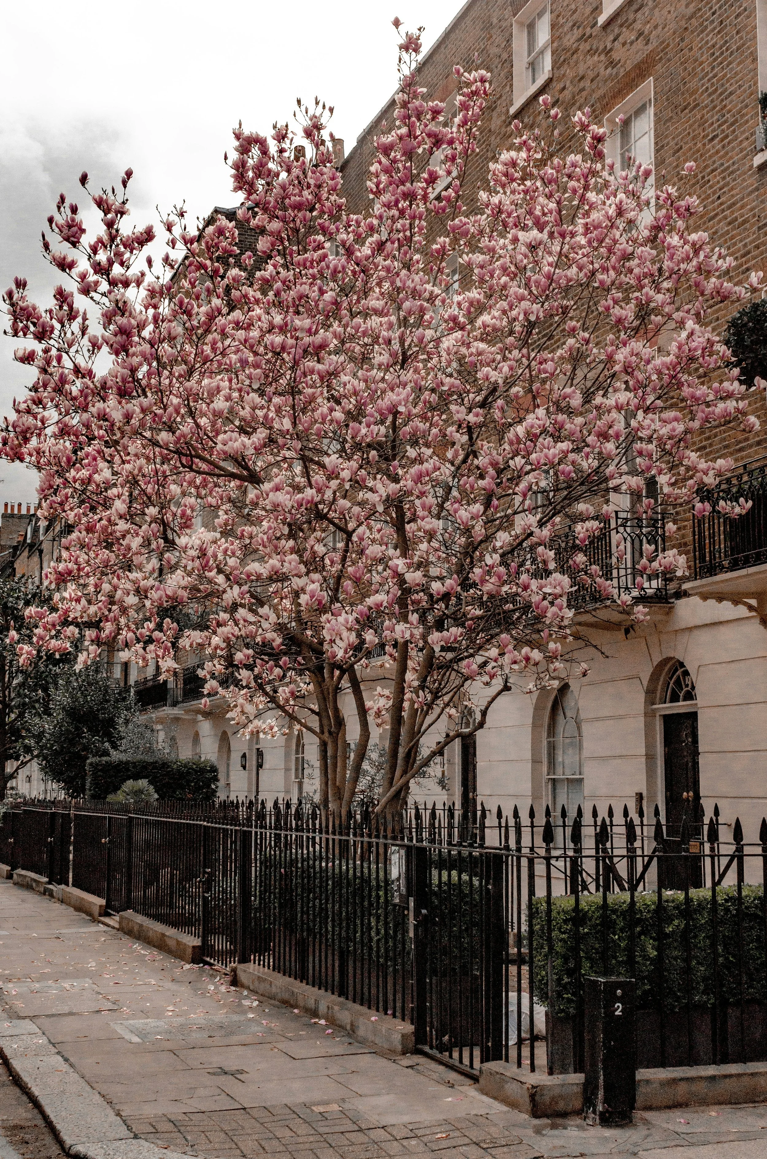 Aria Finance: A Rare Moment for Prime Property Investment