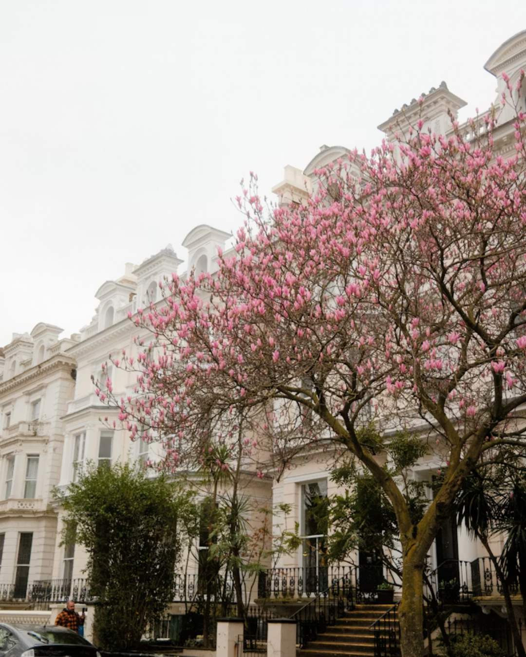 Sherrards: Commonhold Reform and the Future of UK Prime Residential Ownership