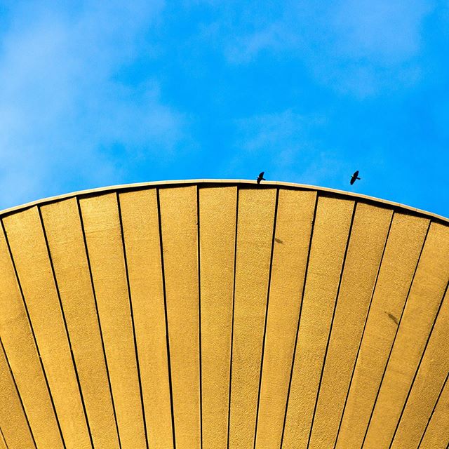 Our favourite colour palette #blueandgold #bluesky #goldground #goldenearth #thisisgolden