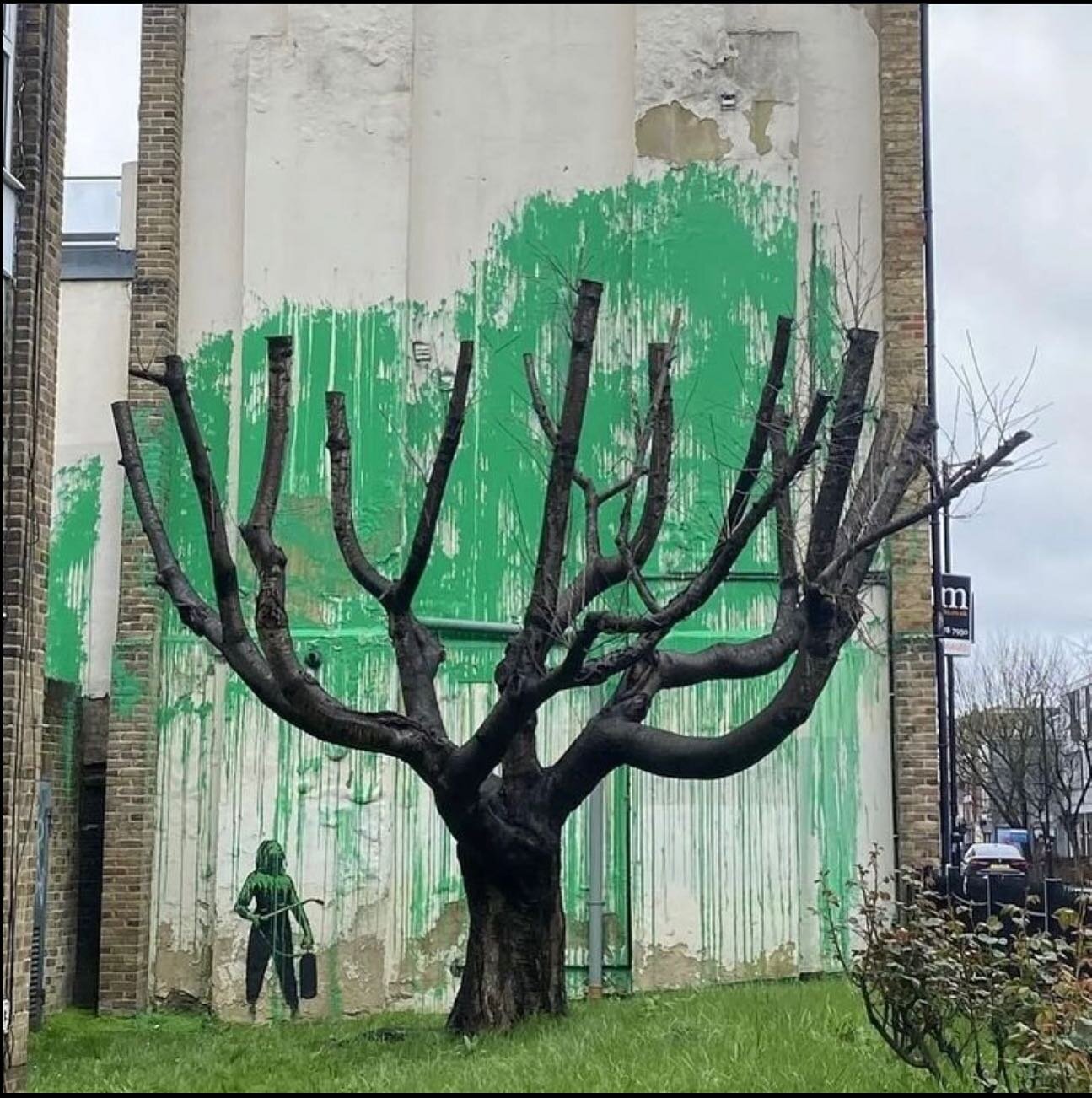 Is it Banksy? 🌳

A possible new @banksy piece has gone up on a side of a building in Finsbury Park, North London. 

The piece which interacts with an old lifeless tree sprung up over night and has already gained a huge amount of media coverage. 

Wh