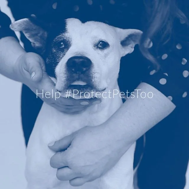 Urban Resource Institute #ProtectPetsToo