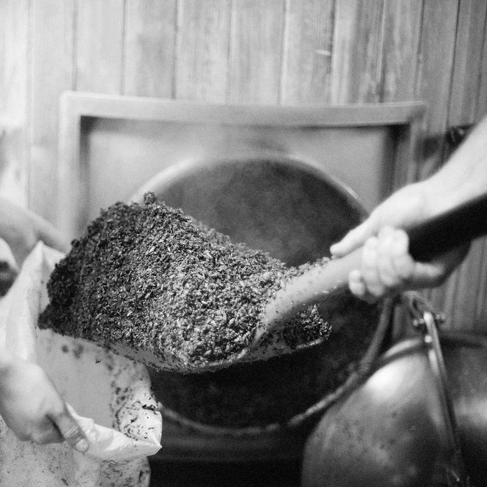 BrewDog_Brewday-22.jpg