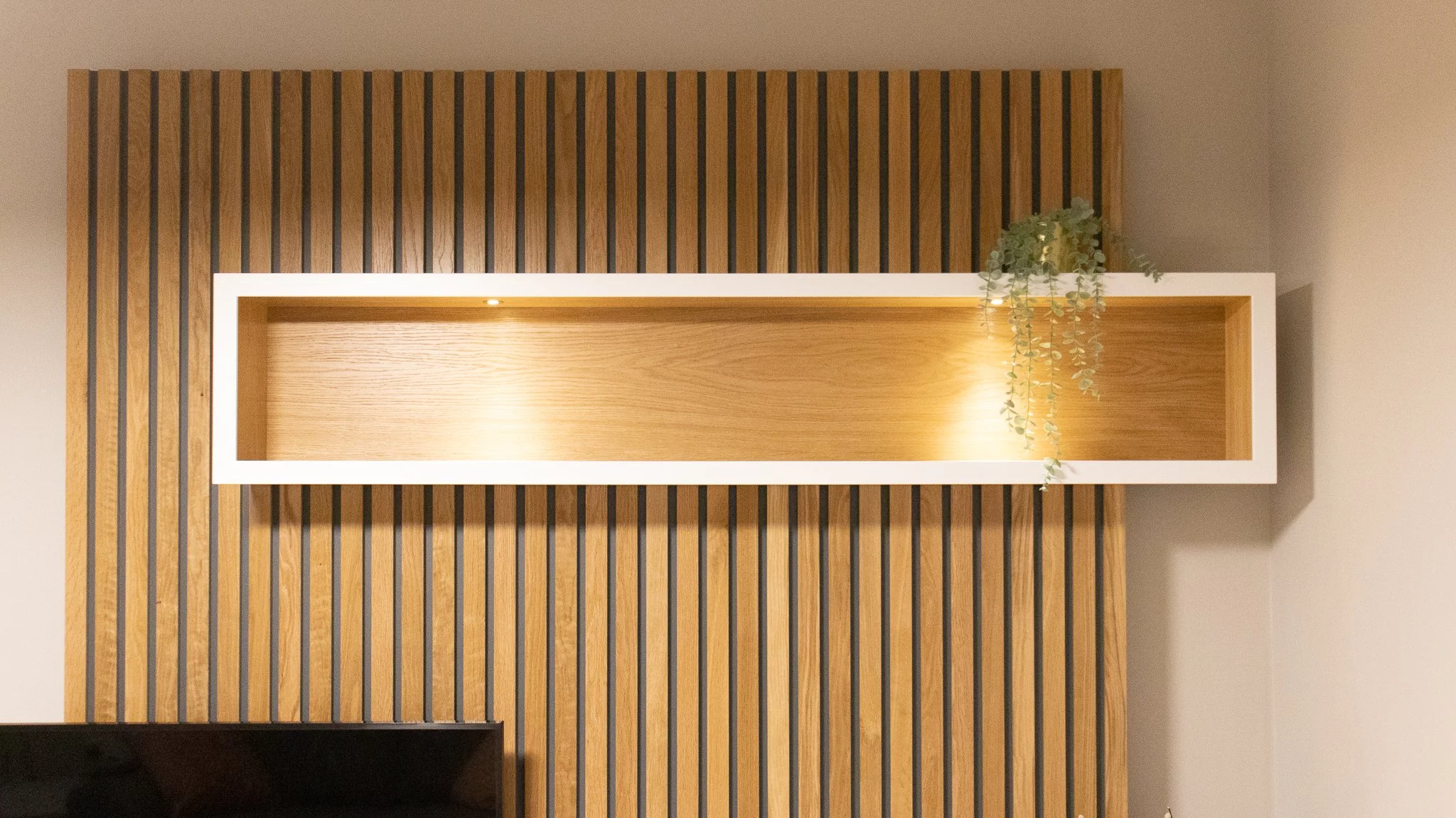 YOUNG + DENGEL Media Unit, Canford Cliffs-02.jpg