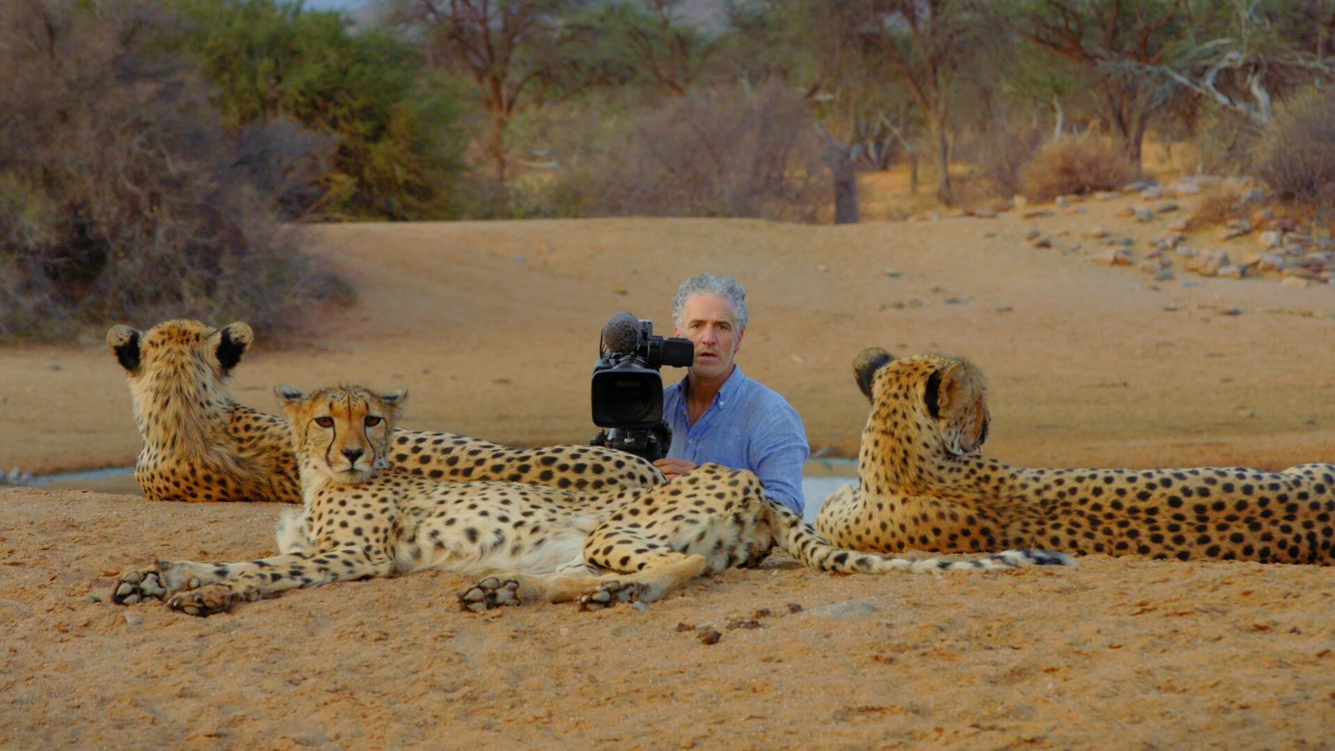 Cheetah Family And Me_s_1.515.1.jpg