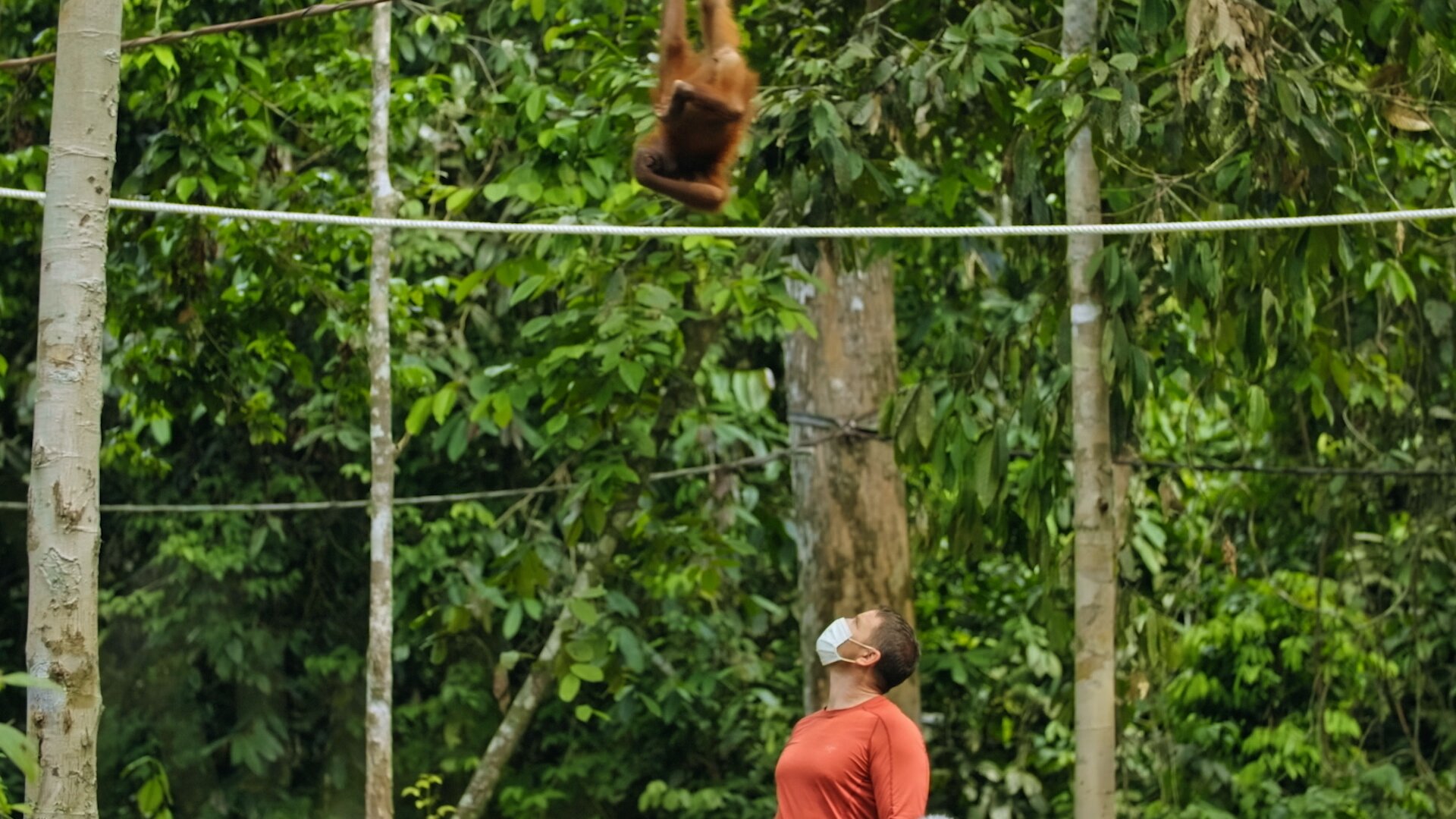 DEADLY60_S4_BORNEO_STILLS_1.1.20.jpg