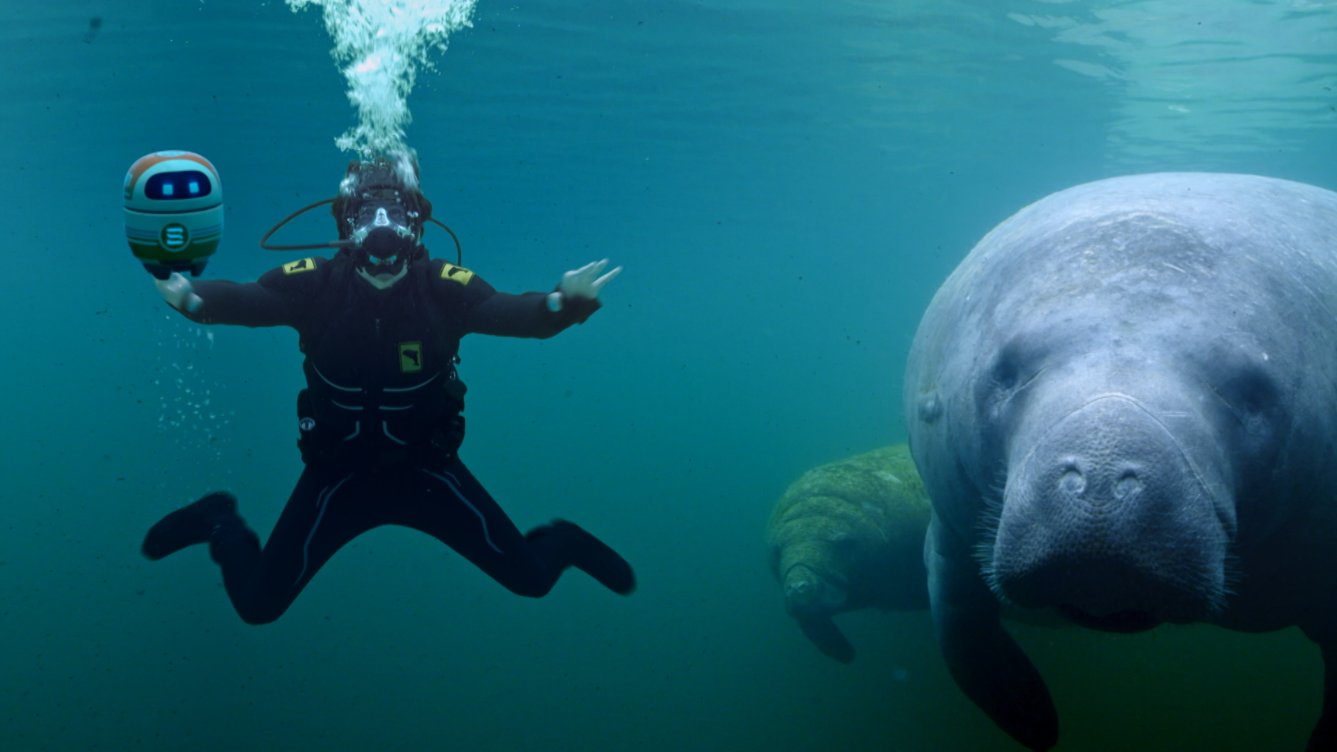 andy and manatee 2.png