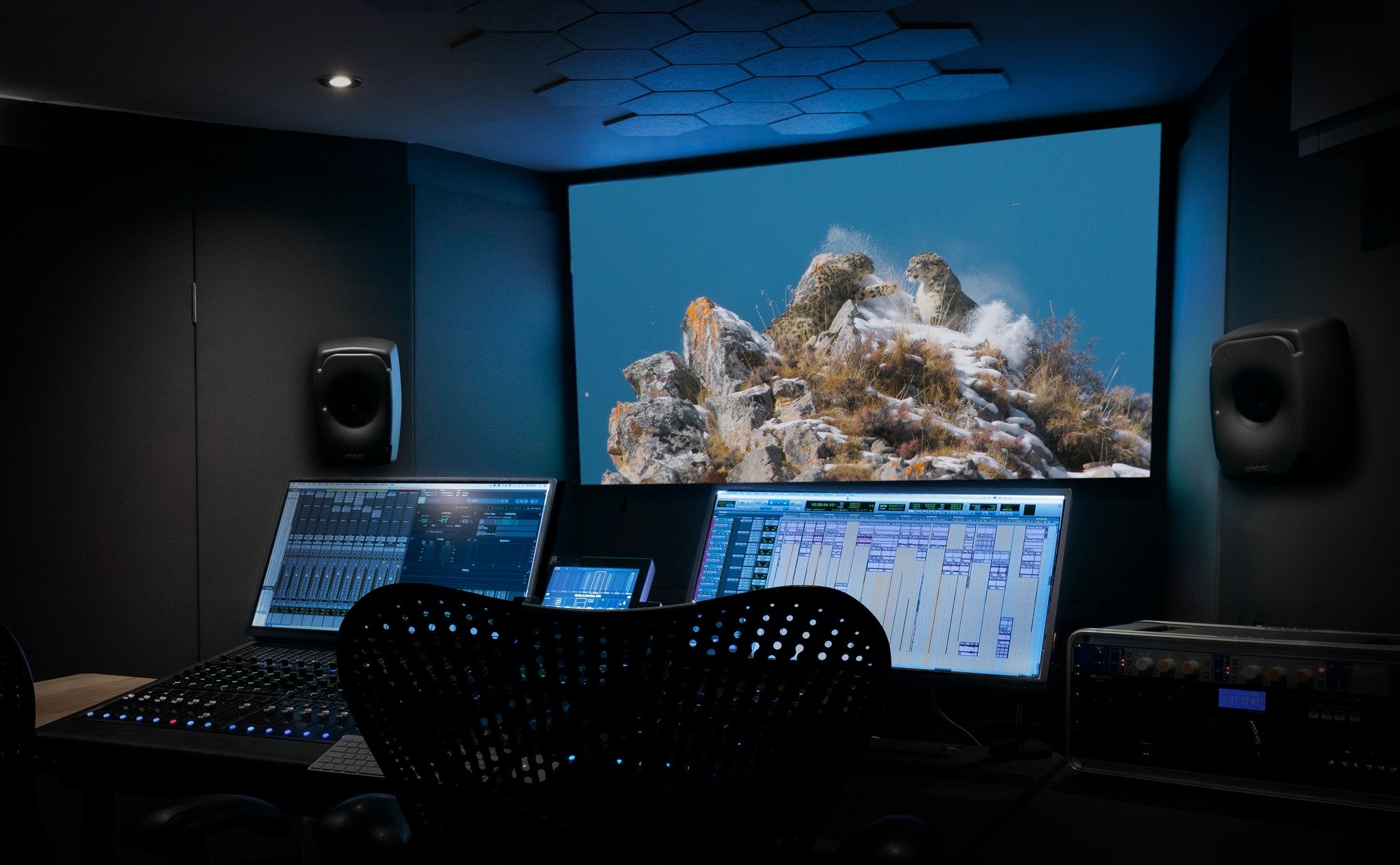 We're proud to share that the Mammals team have been nominated for 3 Emmys, including Outstanding Sound for Documentary.

All 6 episodes were tracklayed by Angela Groves and Paul Fisher and mixed in Doghouse by Graham Wild with David Cherry providing
