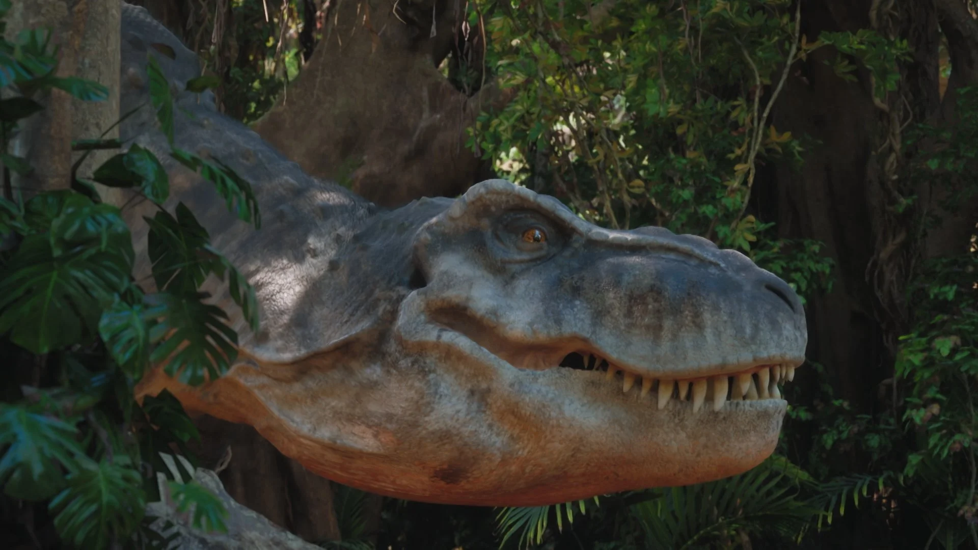 Still 2026-03-06 181143_1.3.6.jpg