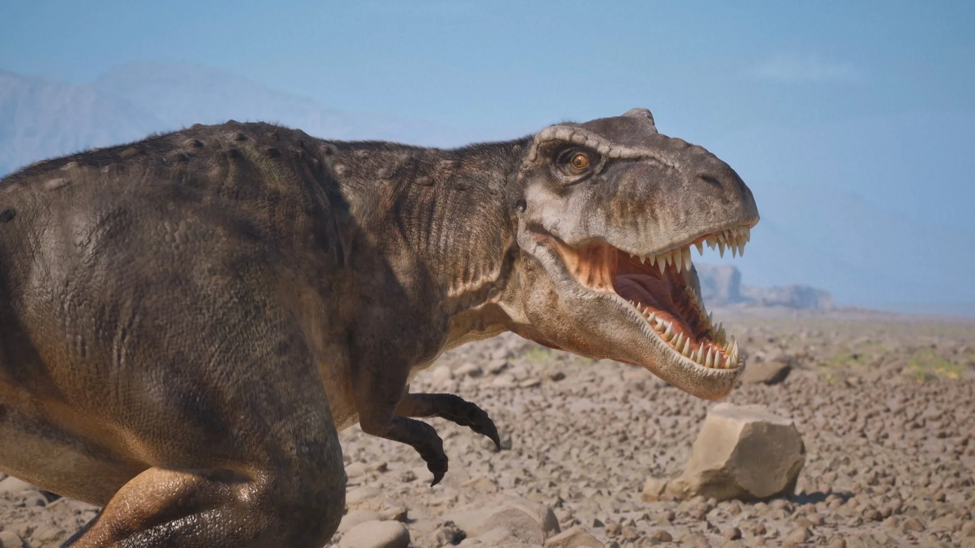 Still 2026-03-06 181143_1.10.4.jpg