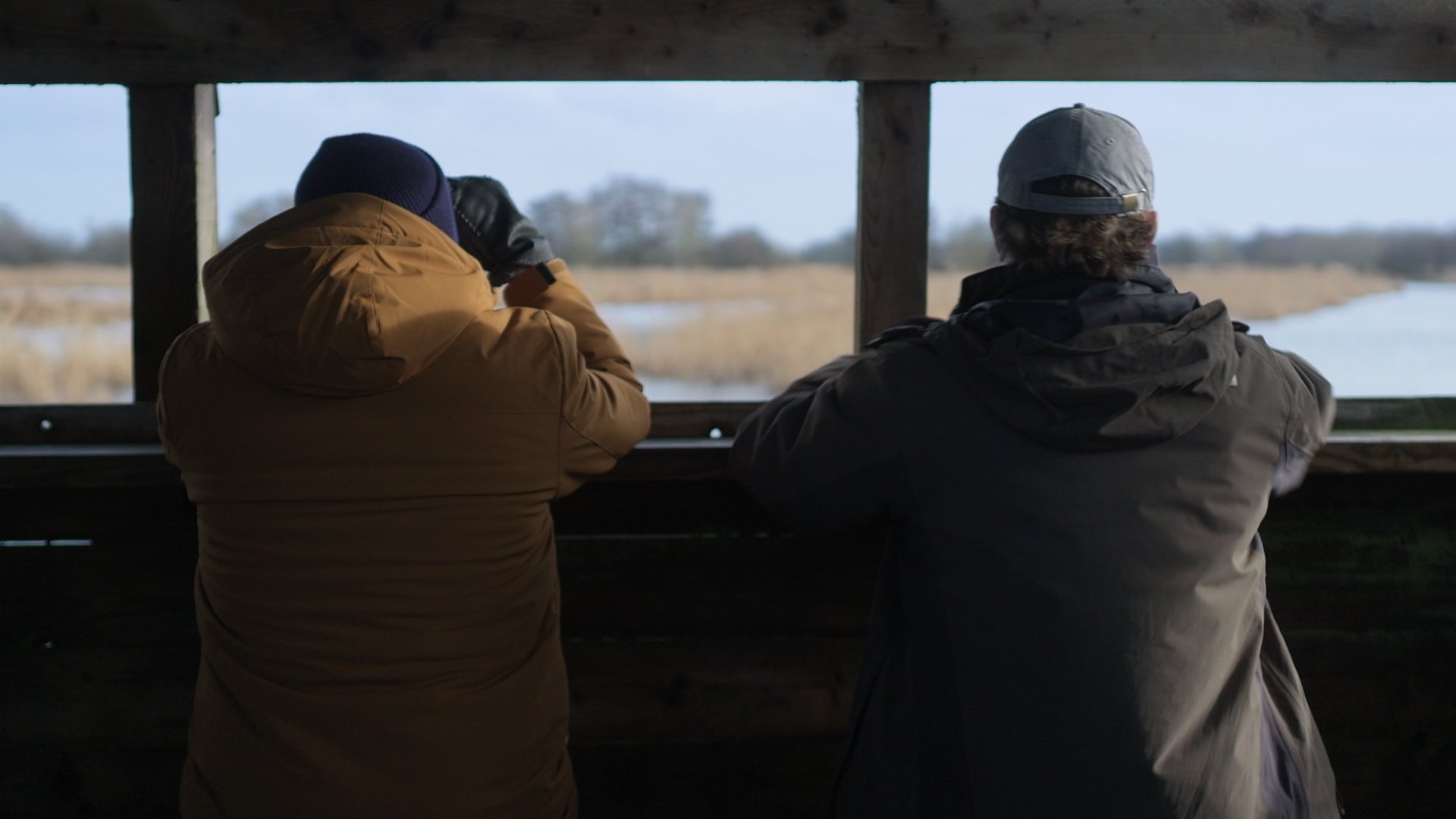 In this final episode of Sam &amp; Ade Go Birding, they visit the Somerset Levels on the search for Bittern's. Along their journey, they spot Grebes, Cattle Egrets, and Robins while discussing mental health and bird-listing ""madness."
