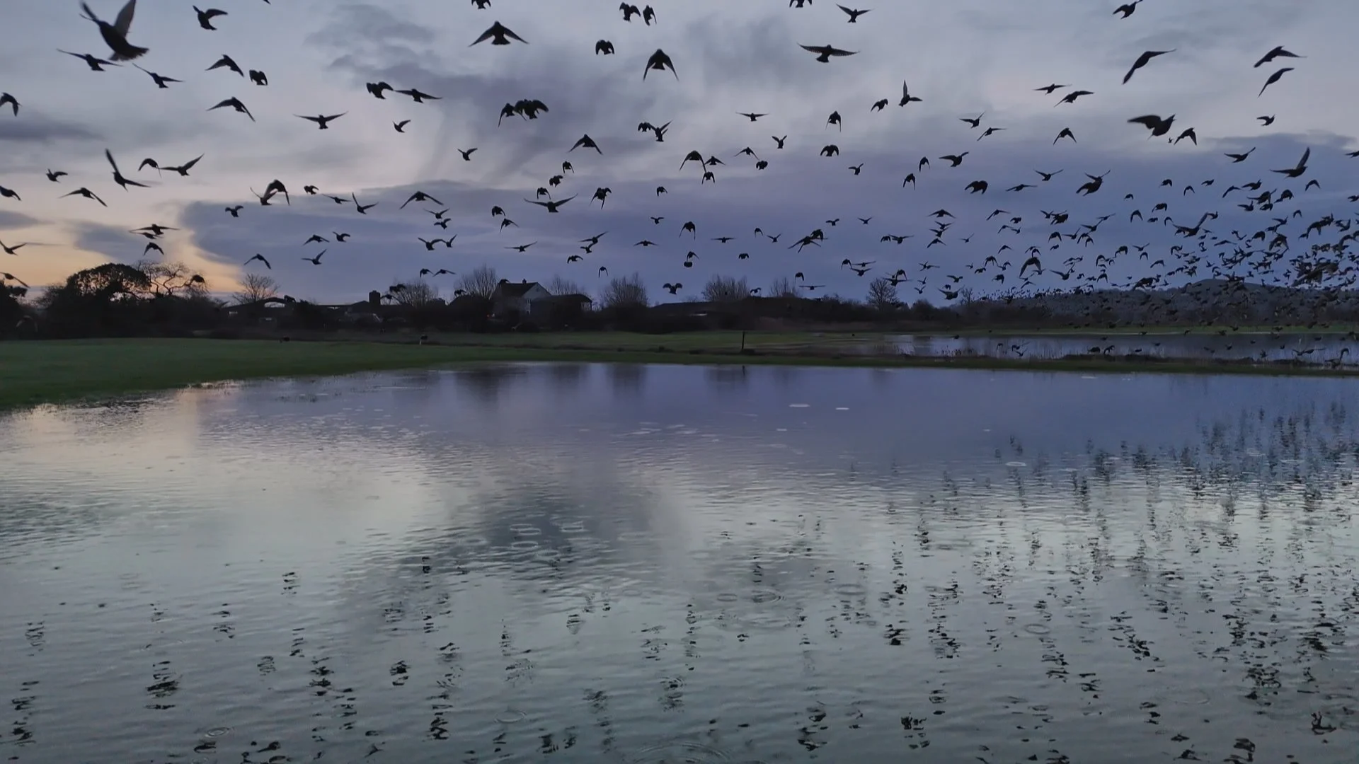 SamAde_GoBirding_Ep03_7.718.1.jpg