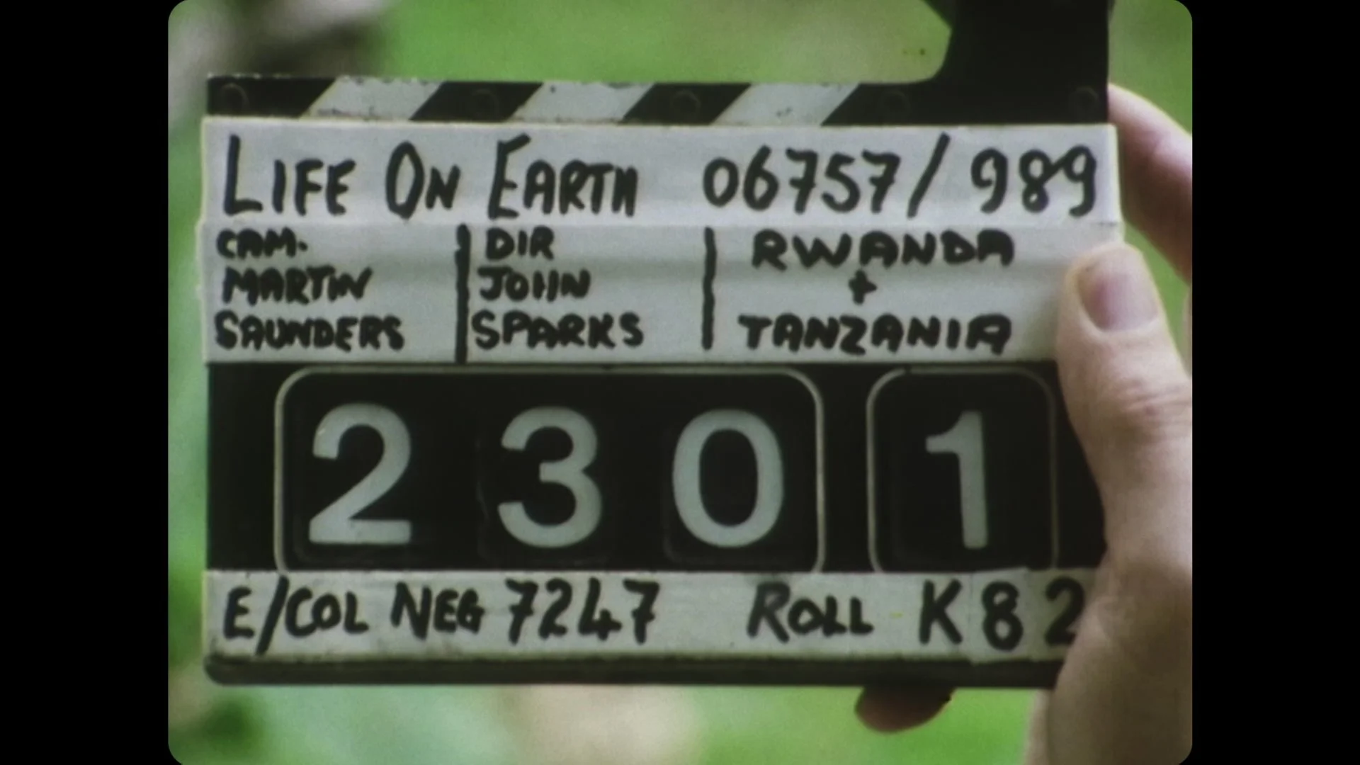 This is the remarkable story behind the BBC&rsquo;s most famous wildlife blockbuster. A three-year, hair-raising odyssey around the world, travelling to 40 countries and filming over 600 species, including the famous mountain gorillas. 

First broadc